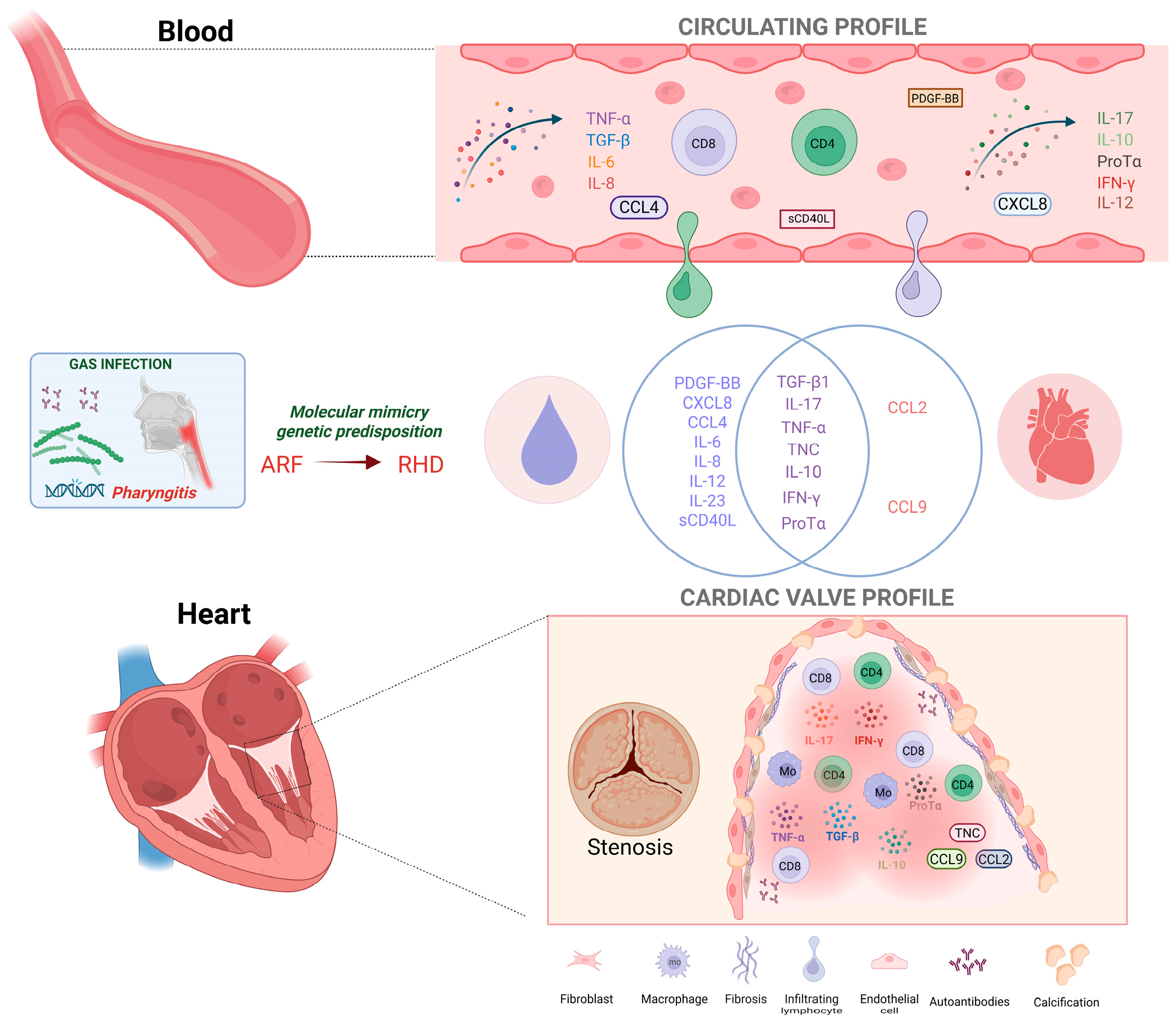 Pathogens 14 01185 g003