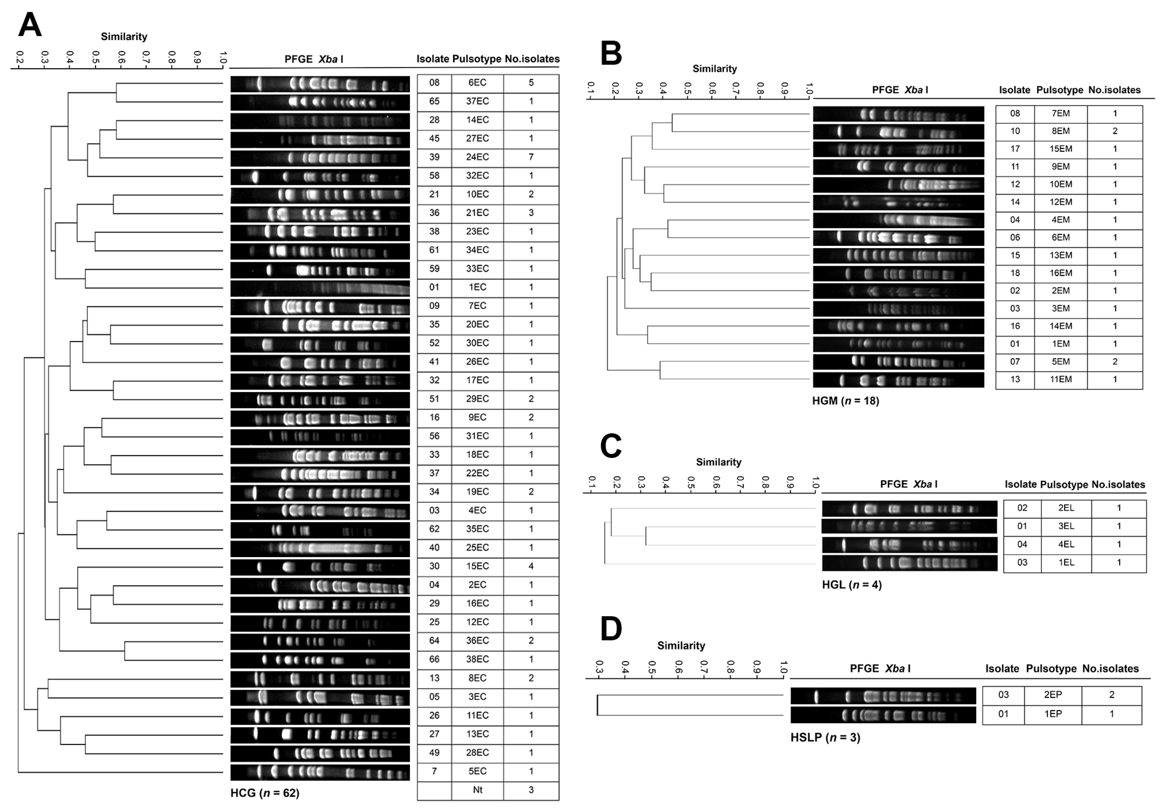 Pathogens 14 01187 g006