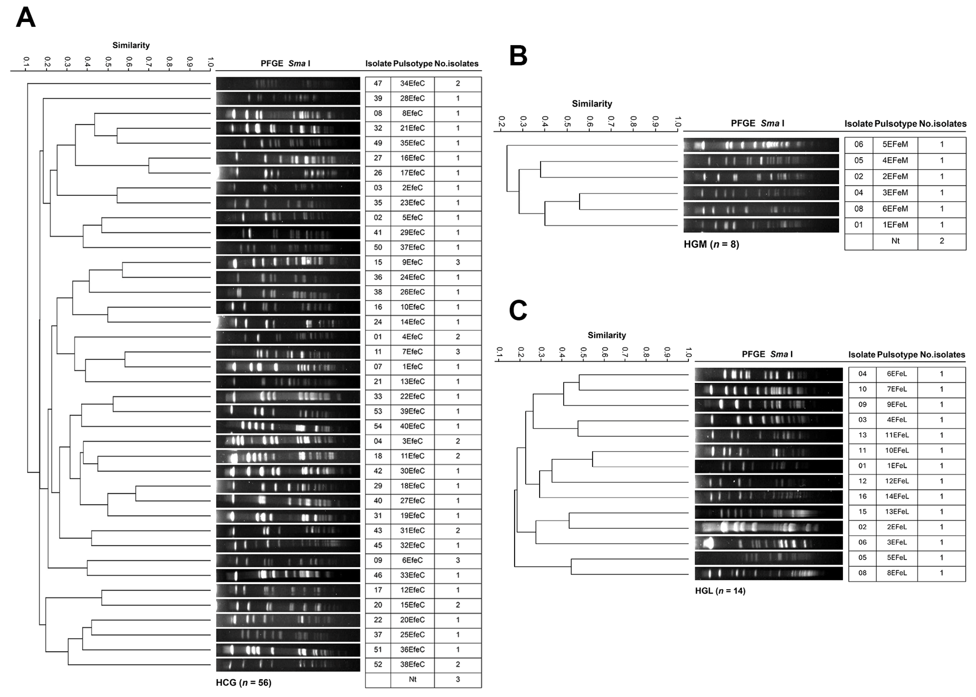Pathogens 14 01187 g009