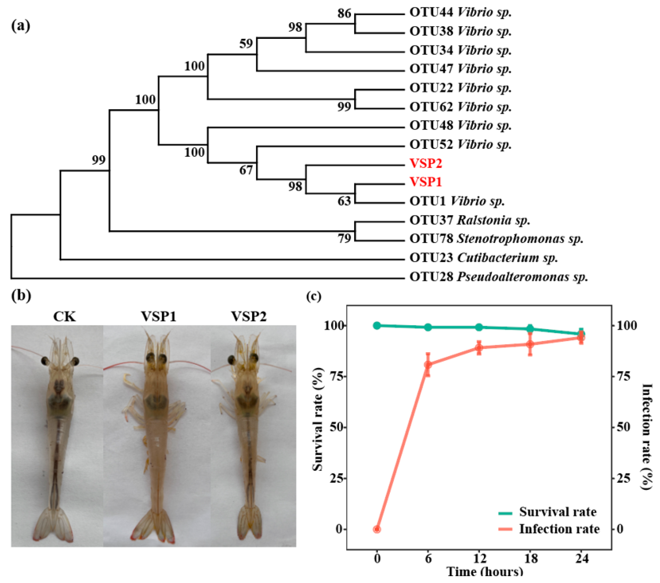 Pathogens 14 01188 g004