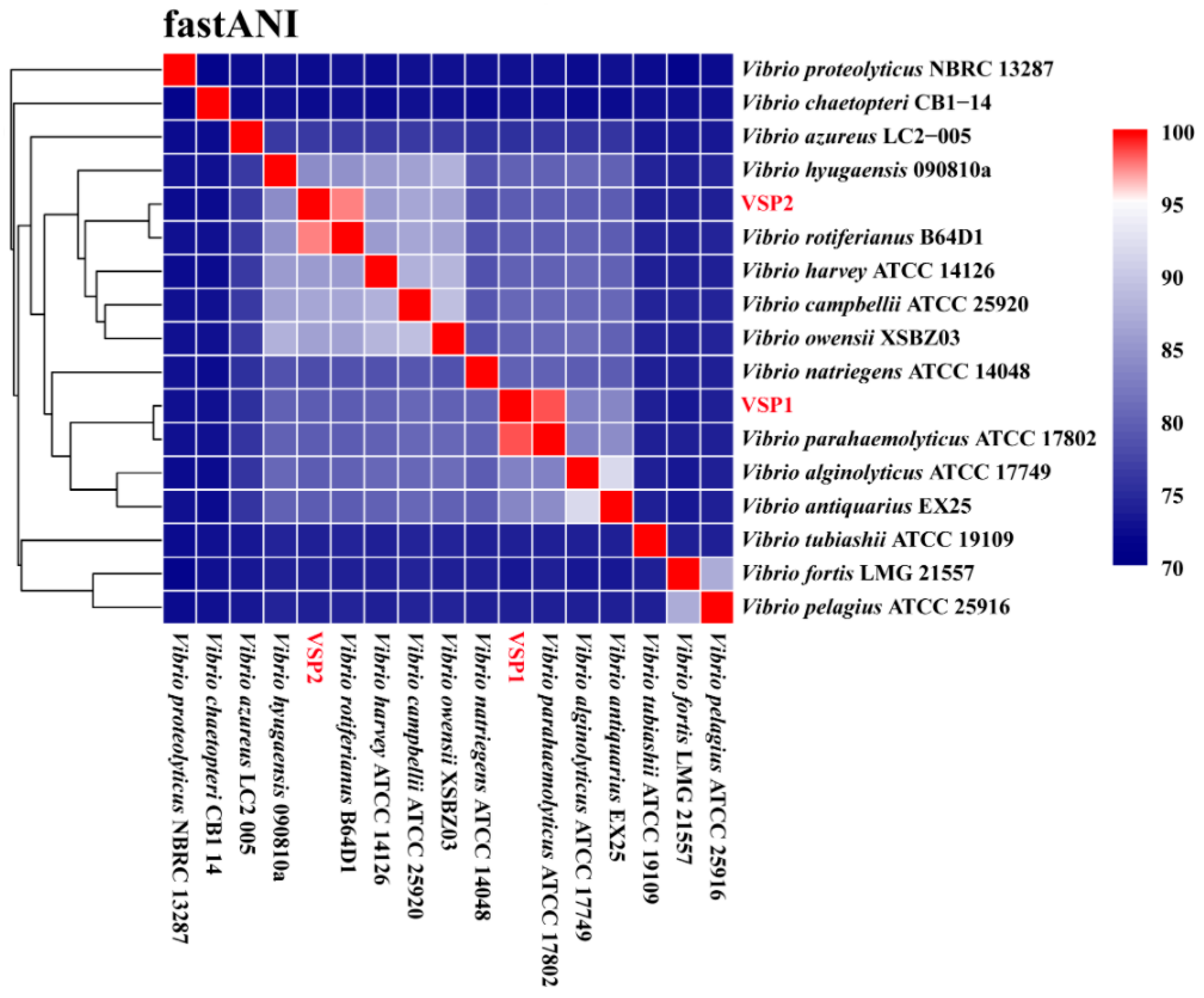 Pathogens 14 01188 g006