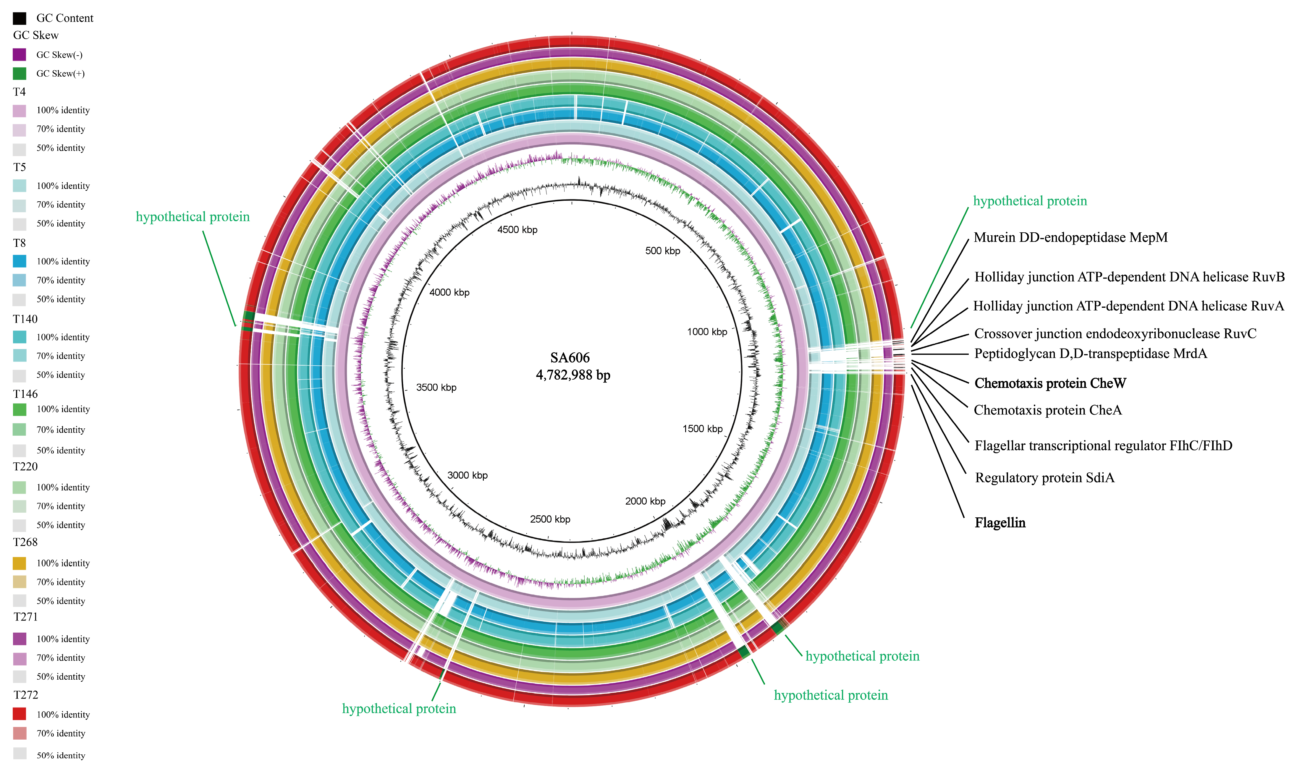 Pathogens 14 01190 g001