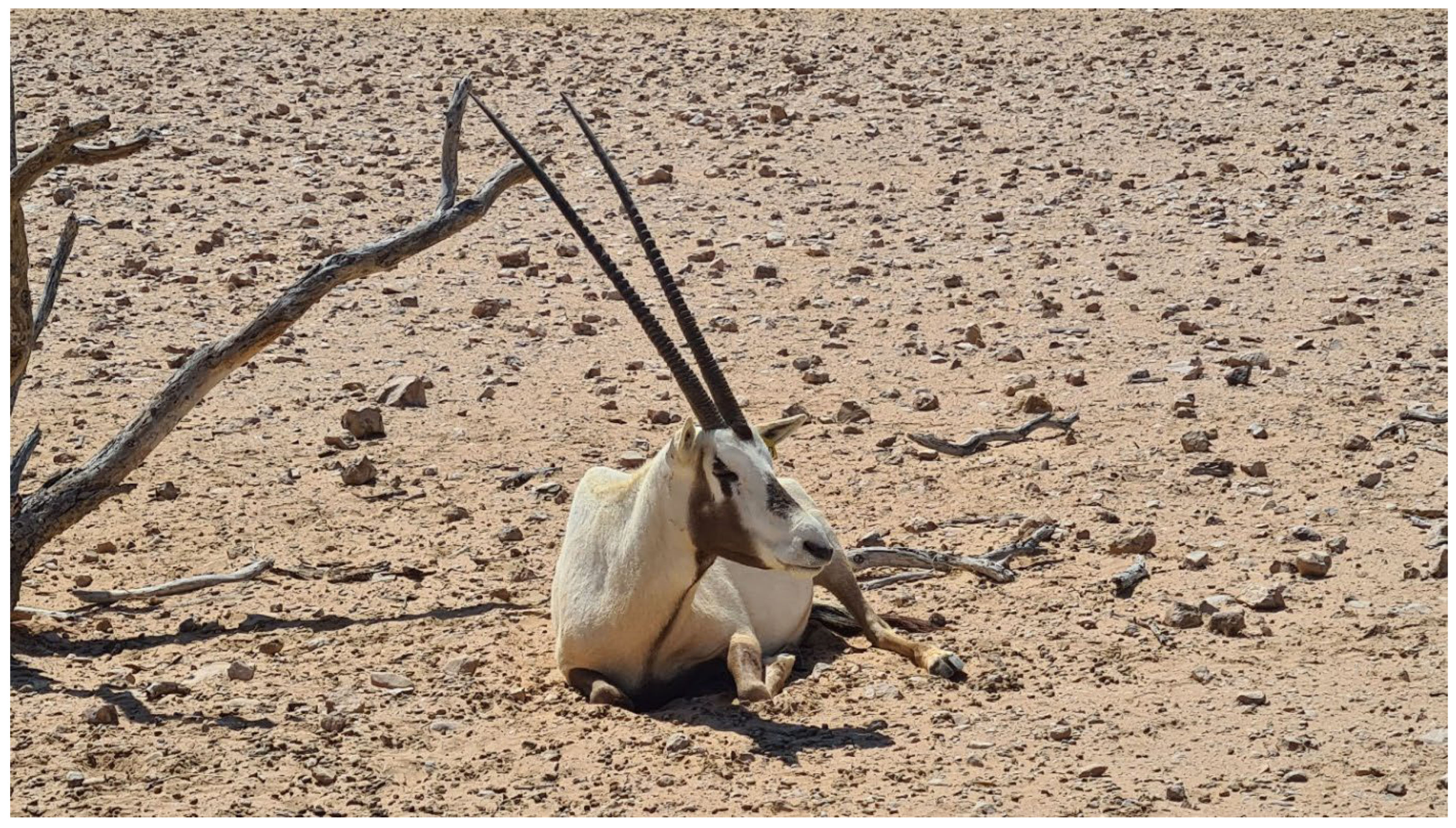 Pathogens 14 01193 g001