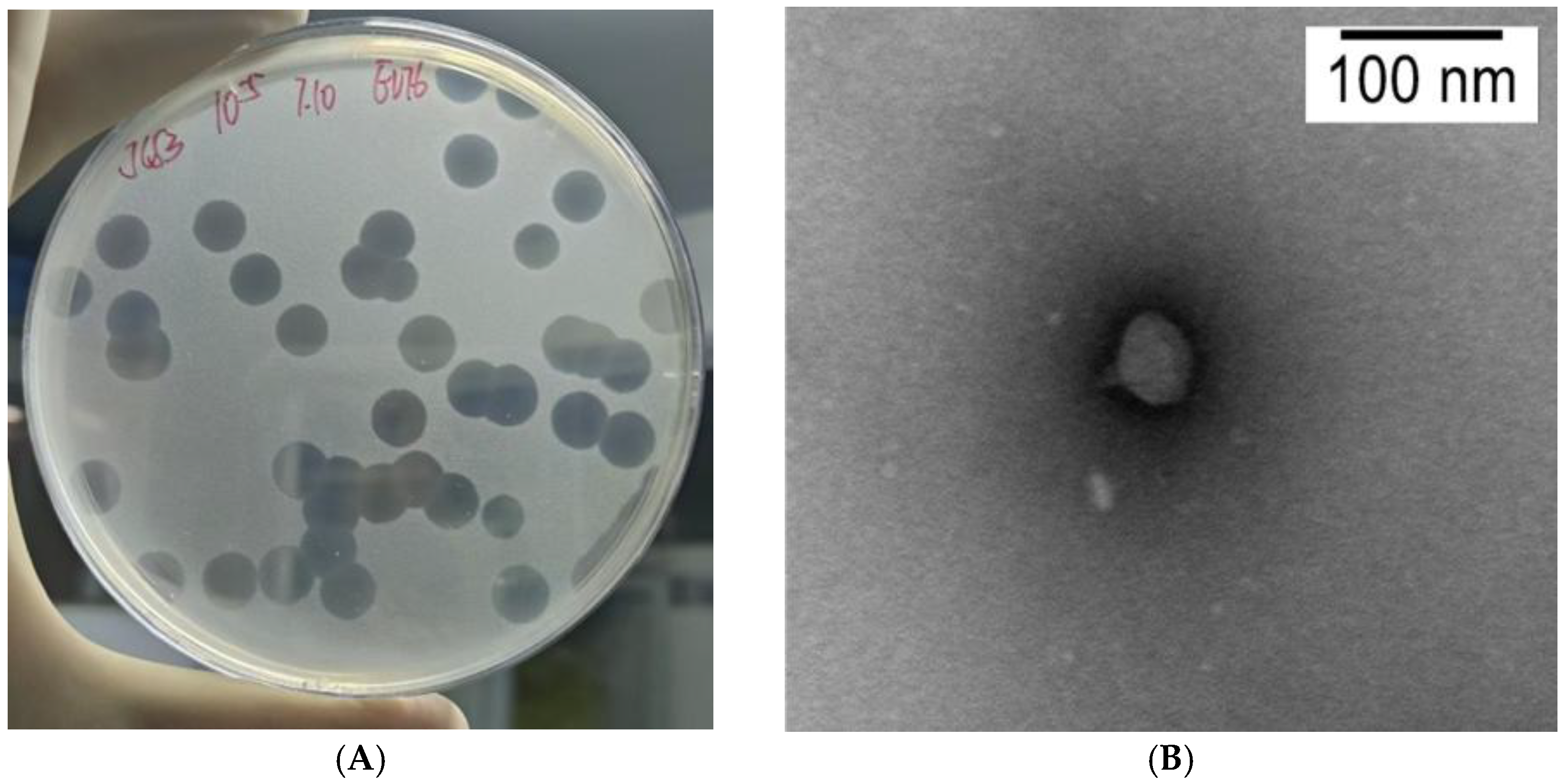 Pathogens 14 01195 g001