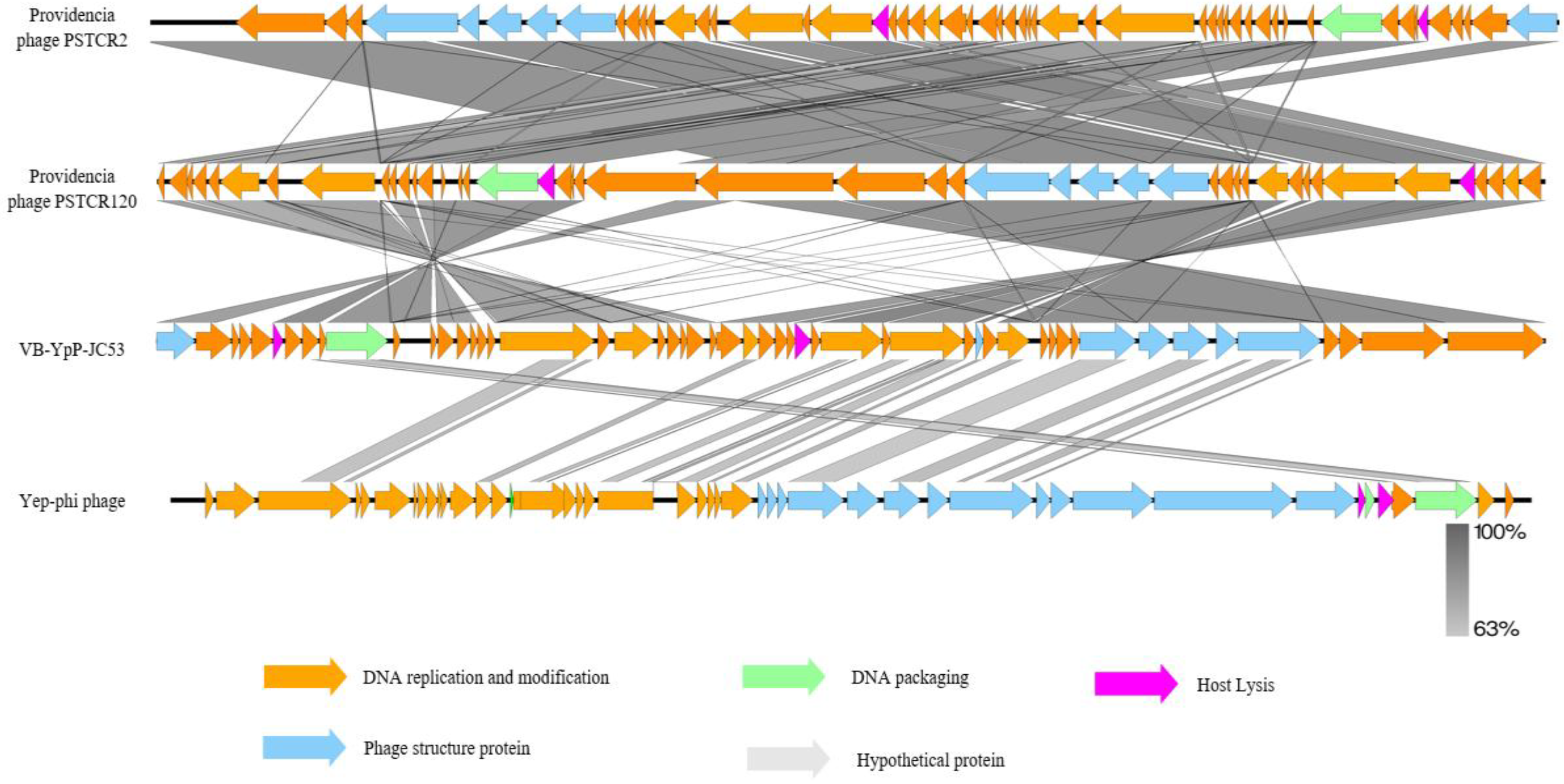 Pathogens 14 01195 g004
