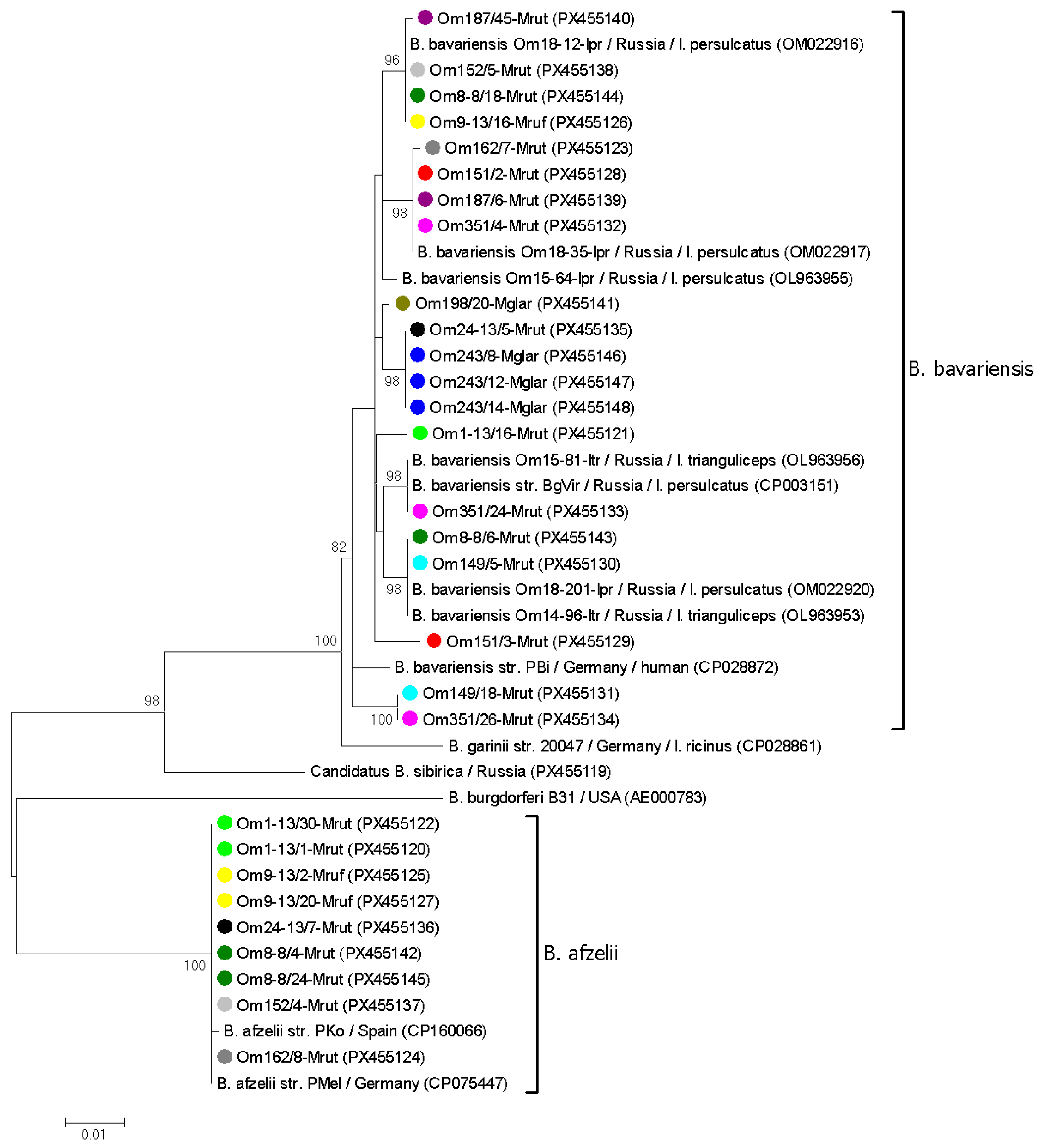 Pathogens 14 01200 g003