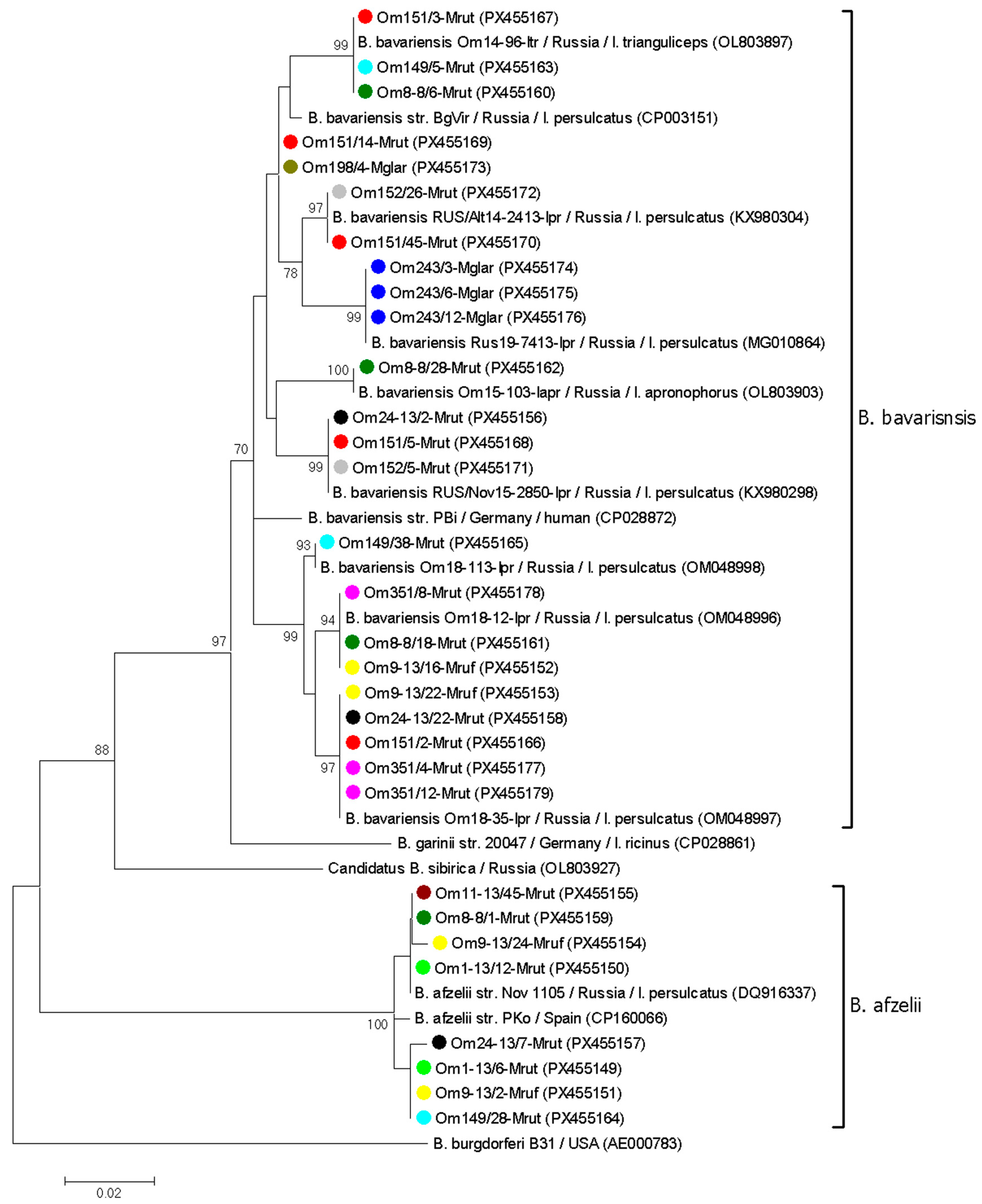 Pathogens 14 01200 g004