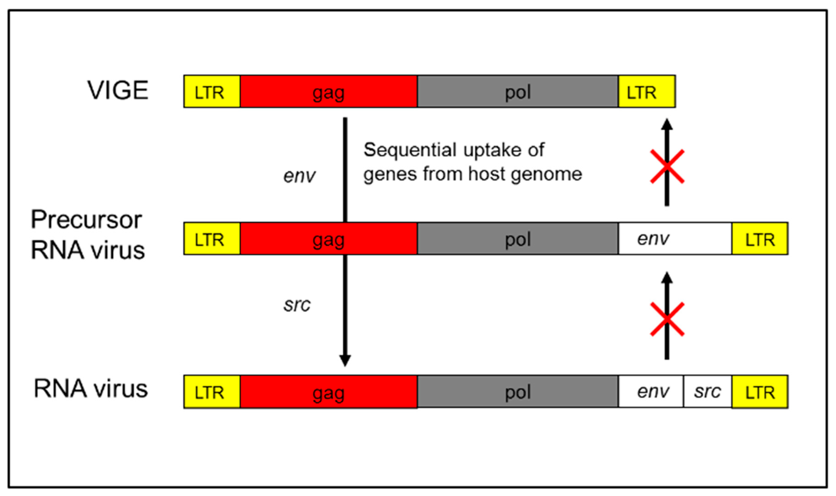 Pathogens 14 01205 g001
