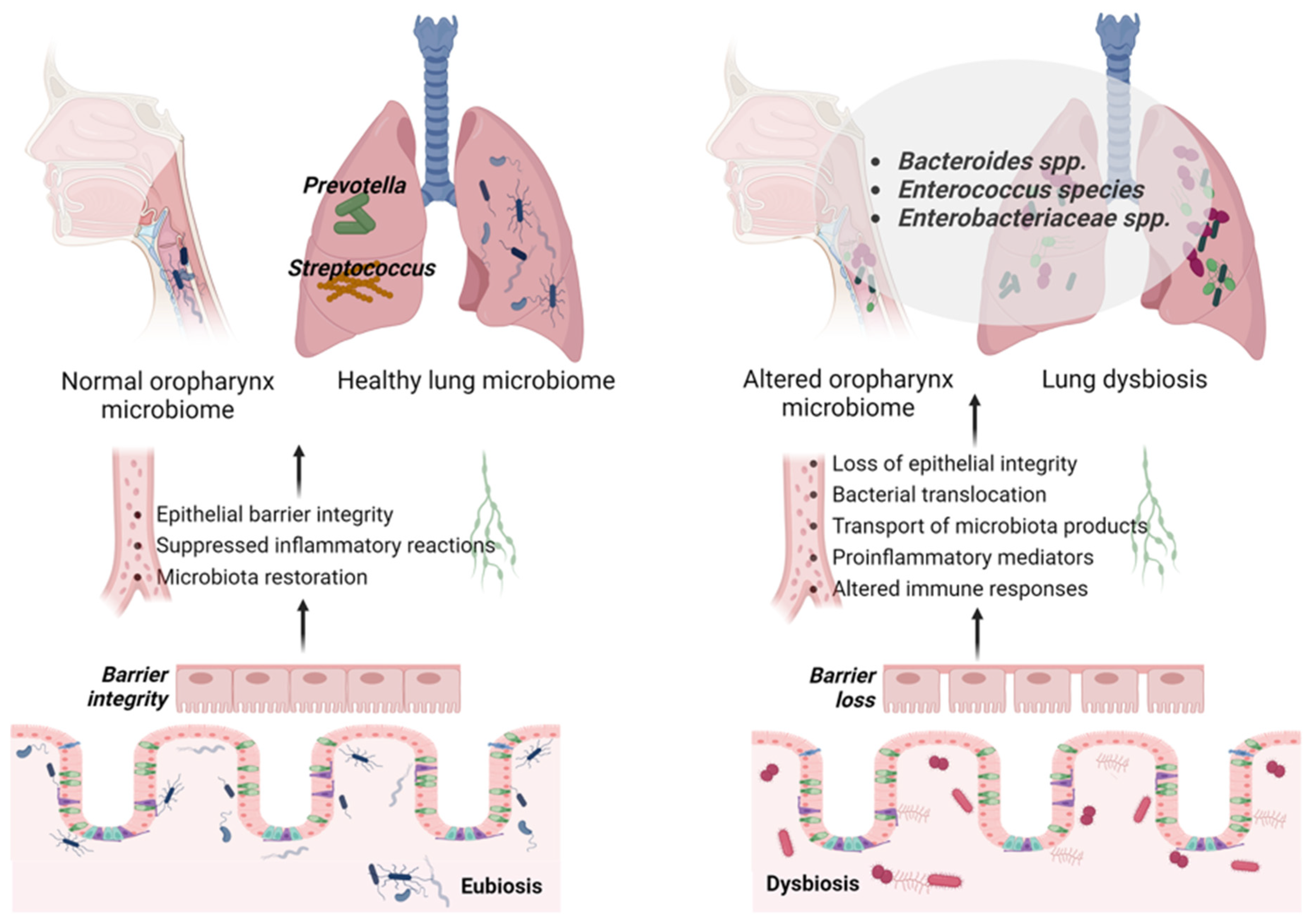 Pathogens 14 01206 g001