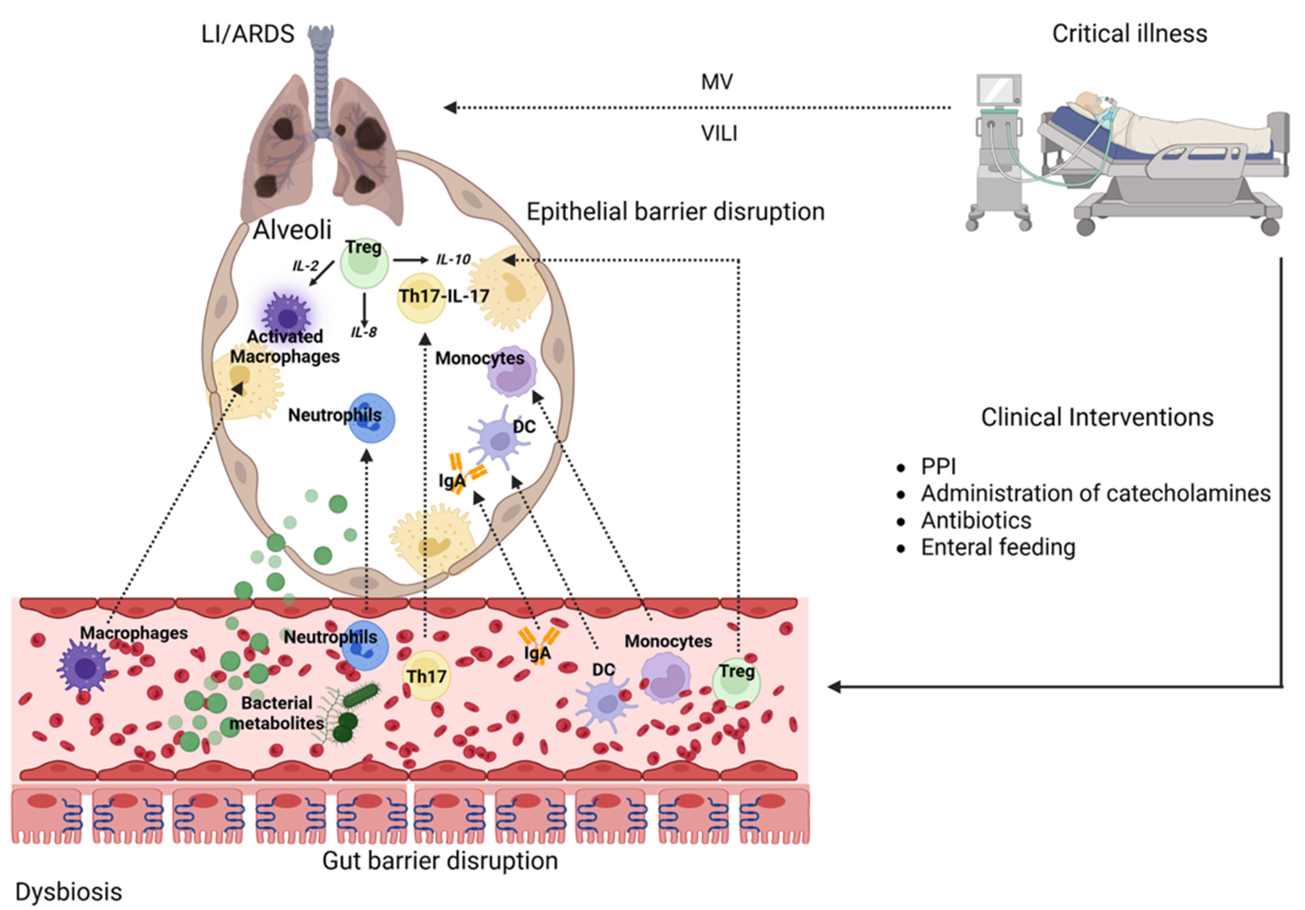 Pathogens 14 01206 g002