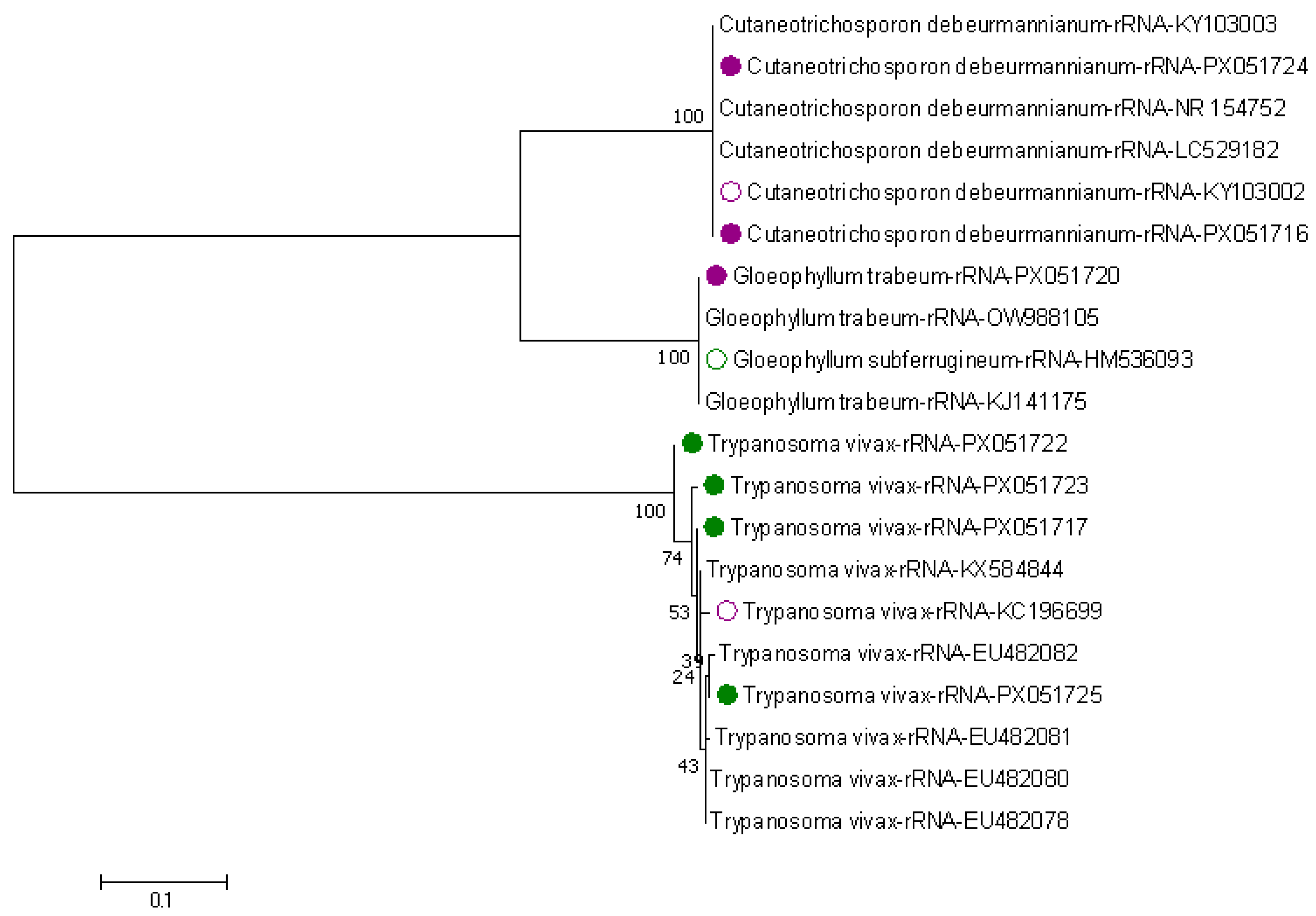 Pathogens 14 01207 g008 Pathogens 14 01207 g008