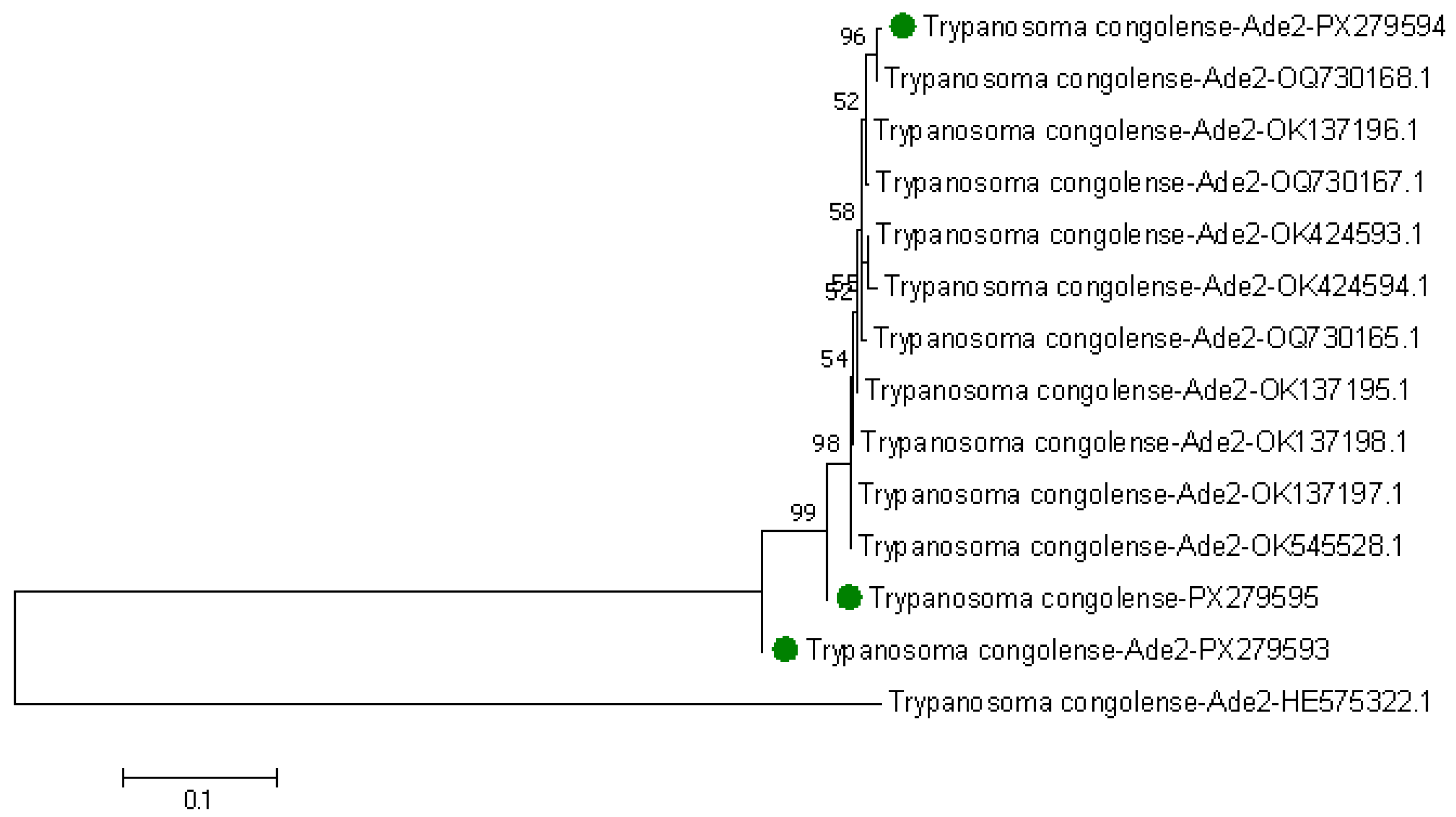 Pathogens 14 01207 g009 Pathogens 14 01207 g009