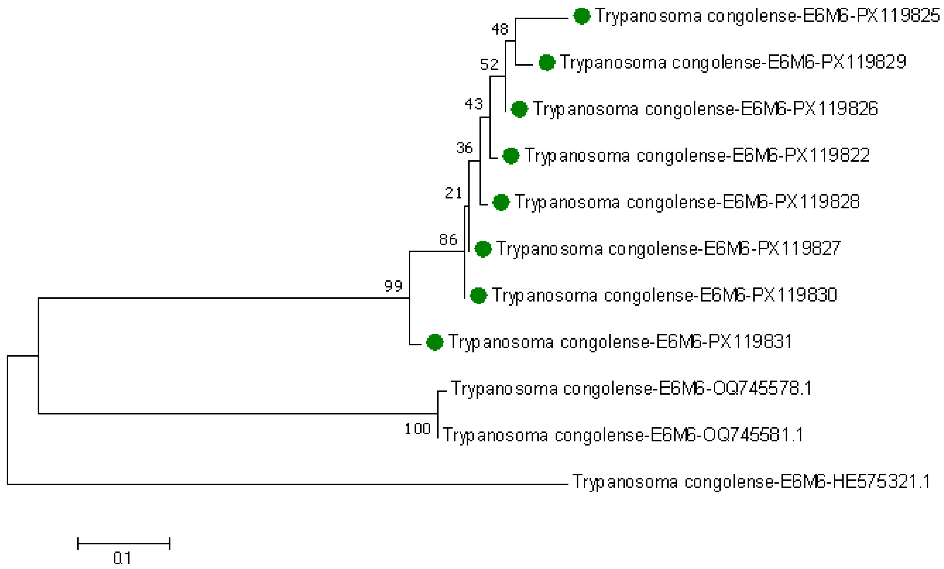 Pathogens 14 01207 g012 Pathogens 14 01207 g012