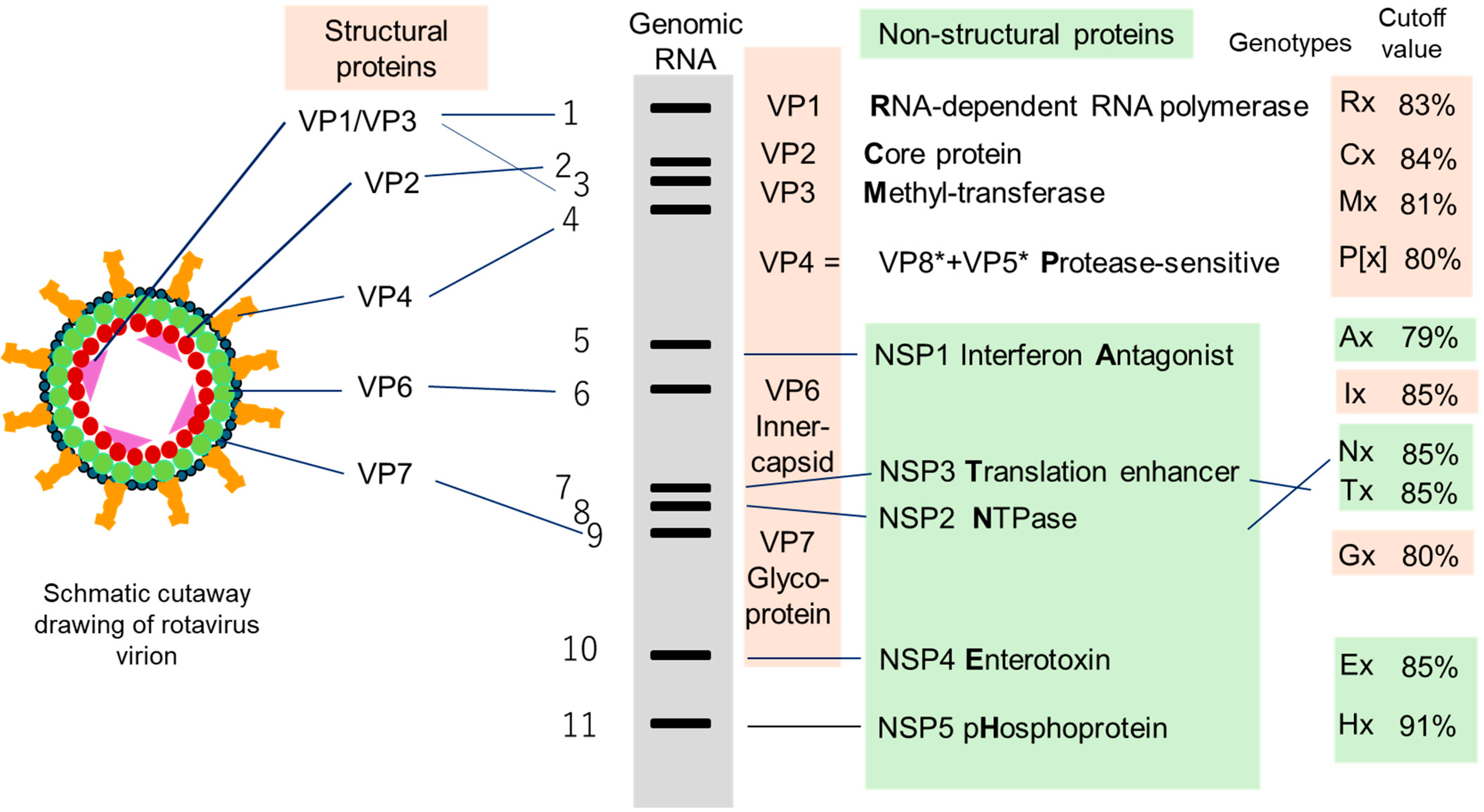 Pathogens 14 01230 g001 Pathogens 14 01230 g001