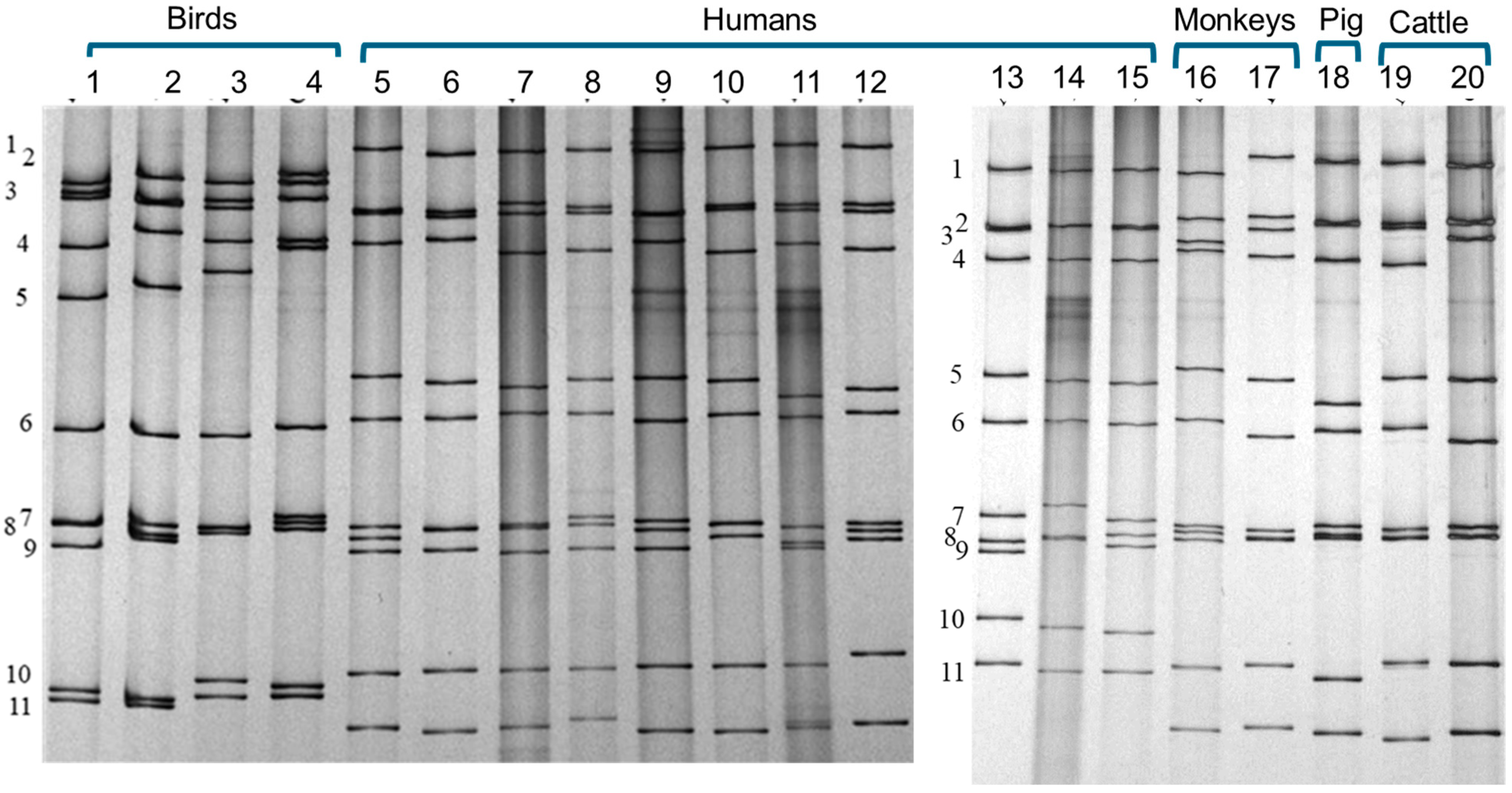 Pathogens 14 01230 g002 Pathogens 14 01230 g002