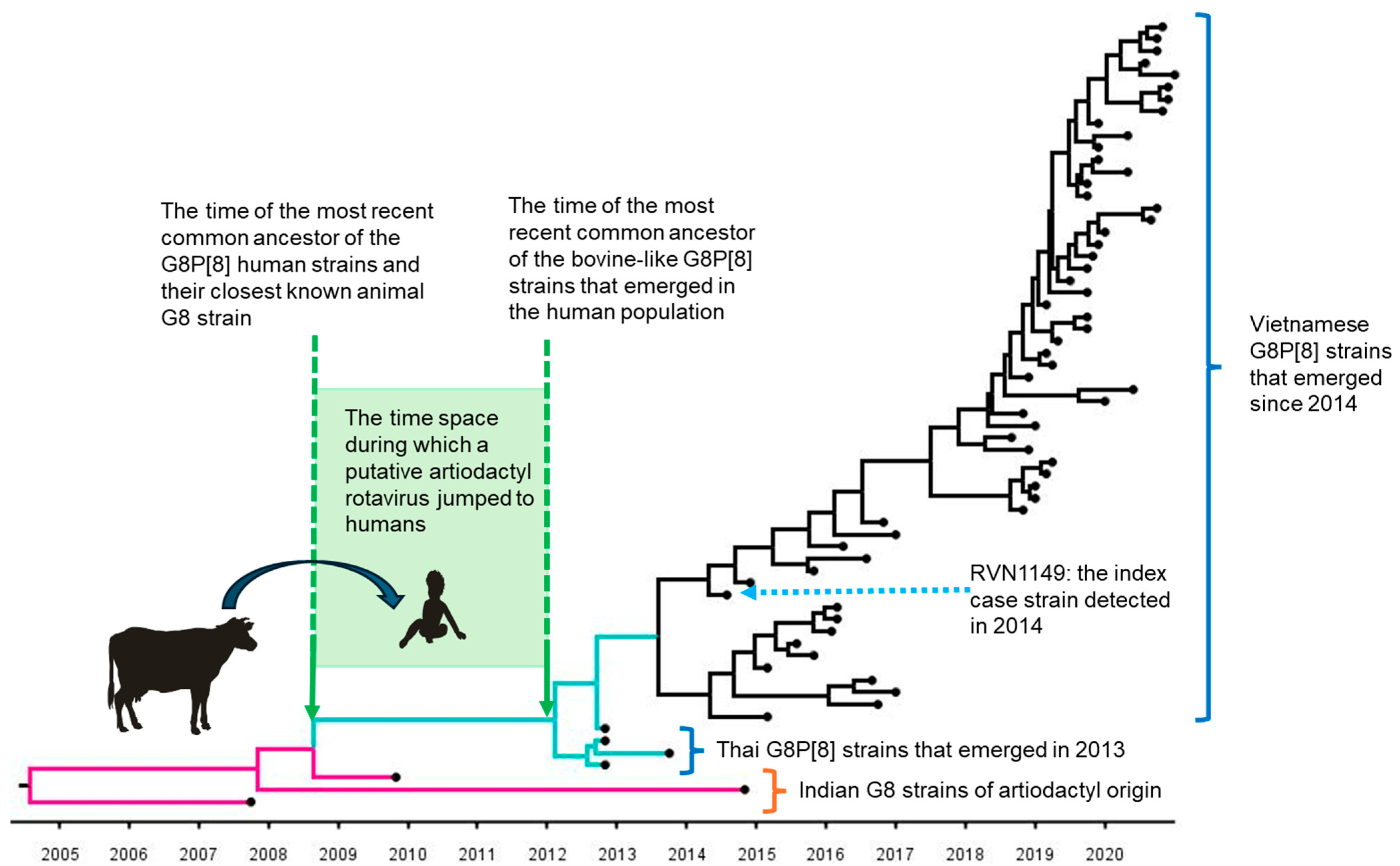 Pathogens 14 01230 g005 Pathogens 14 01230 g005