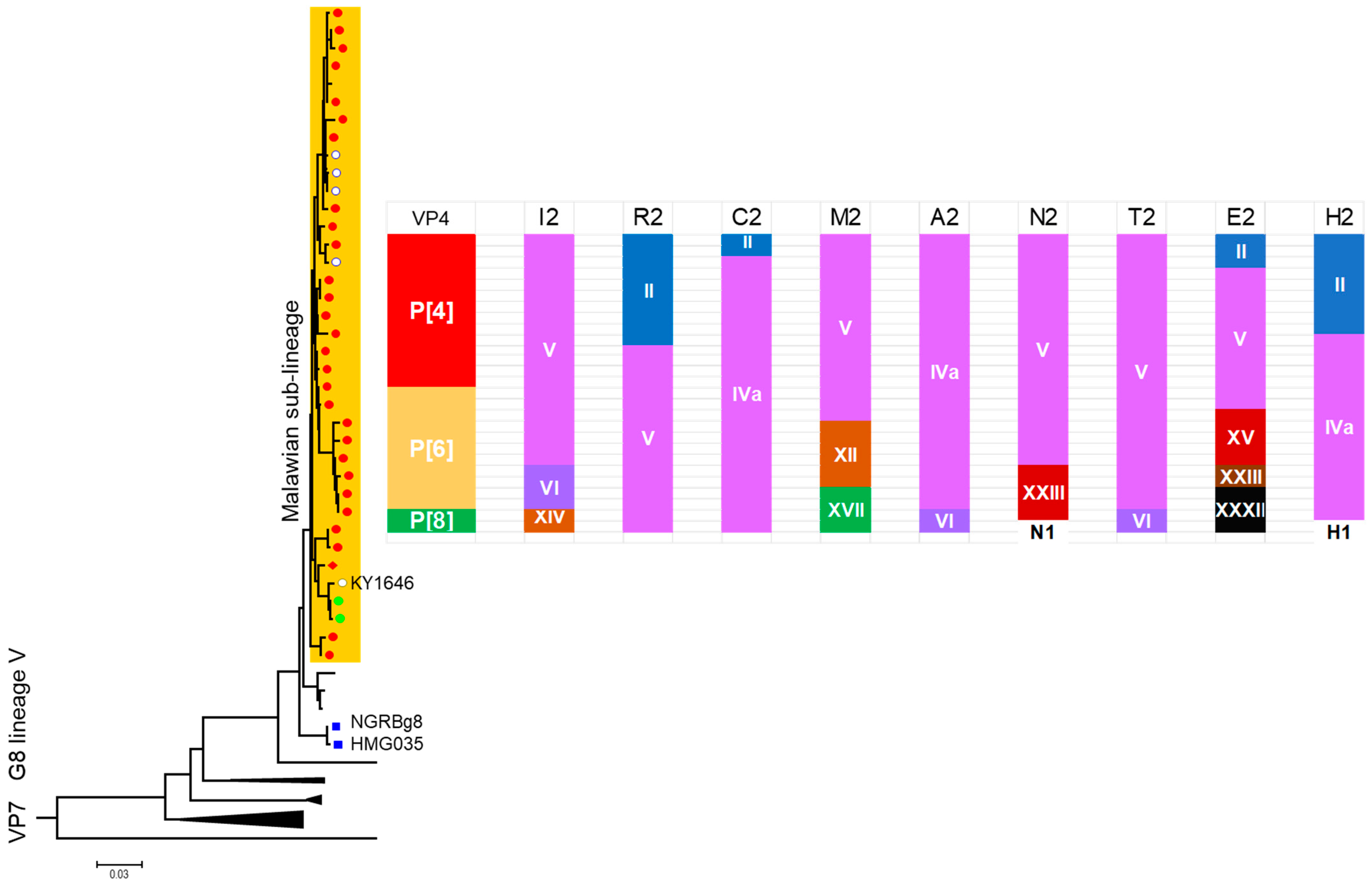 Pathogens 14 01230 g006 Pathogens 14 01230 g006