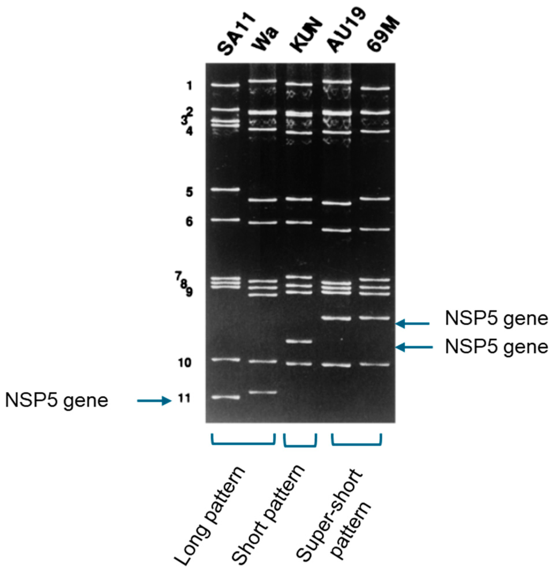 Pathogens 14 01230 g007 Pathogens 14 01230 g007