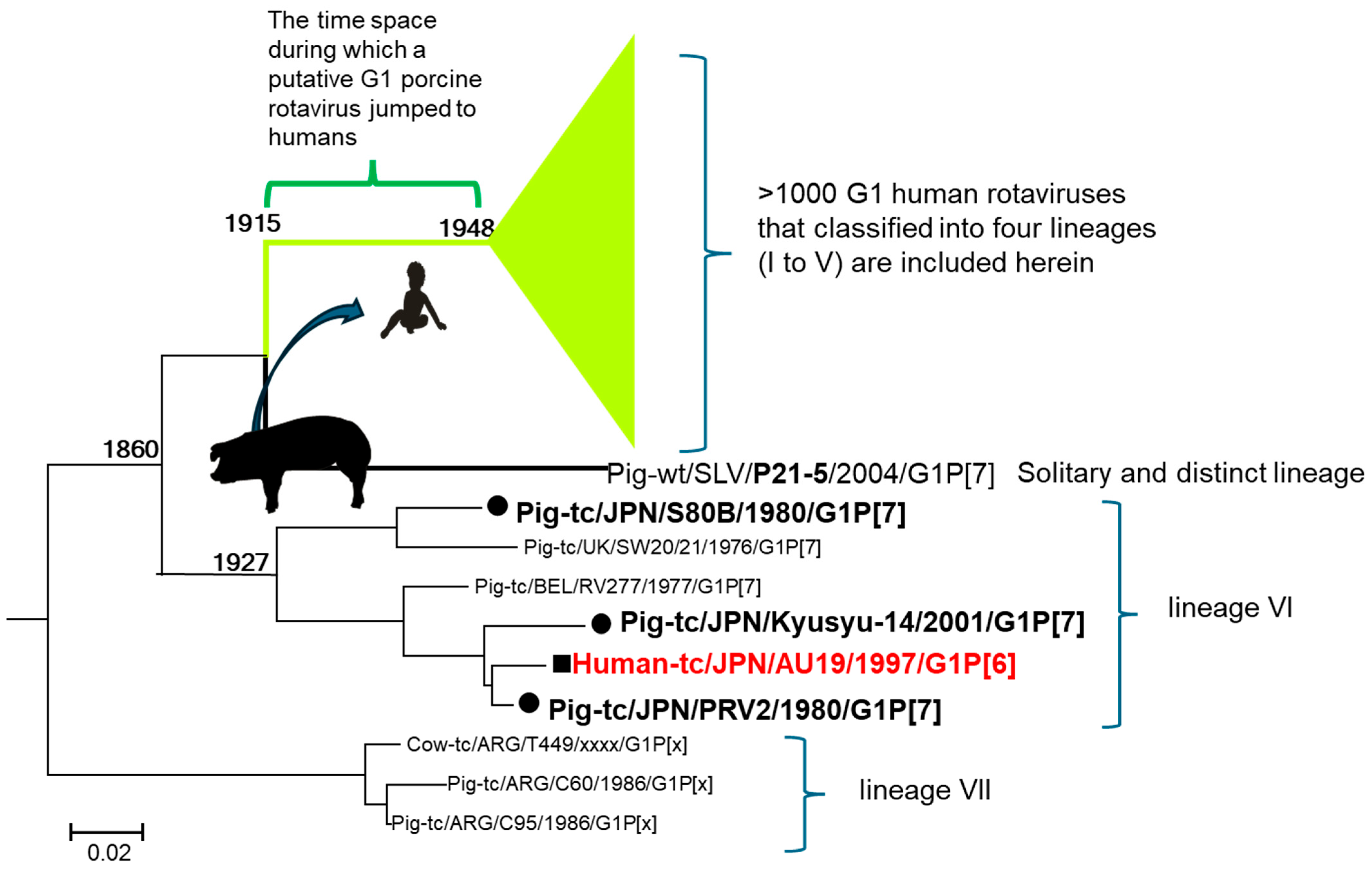 Pathogens 14 01230 g008 Pathogens 14 01230 g008