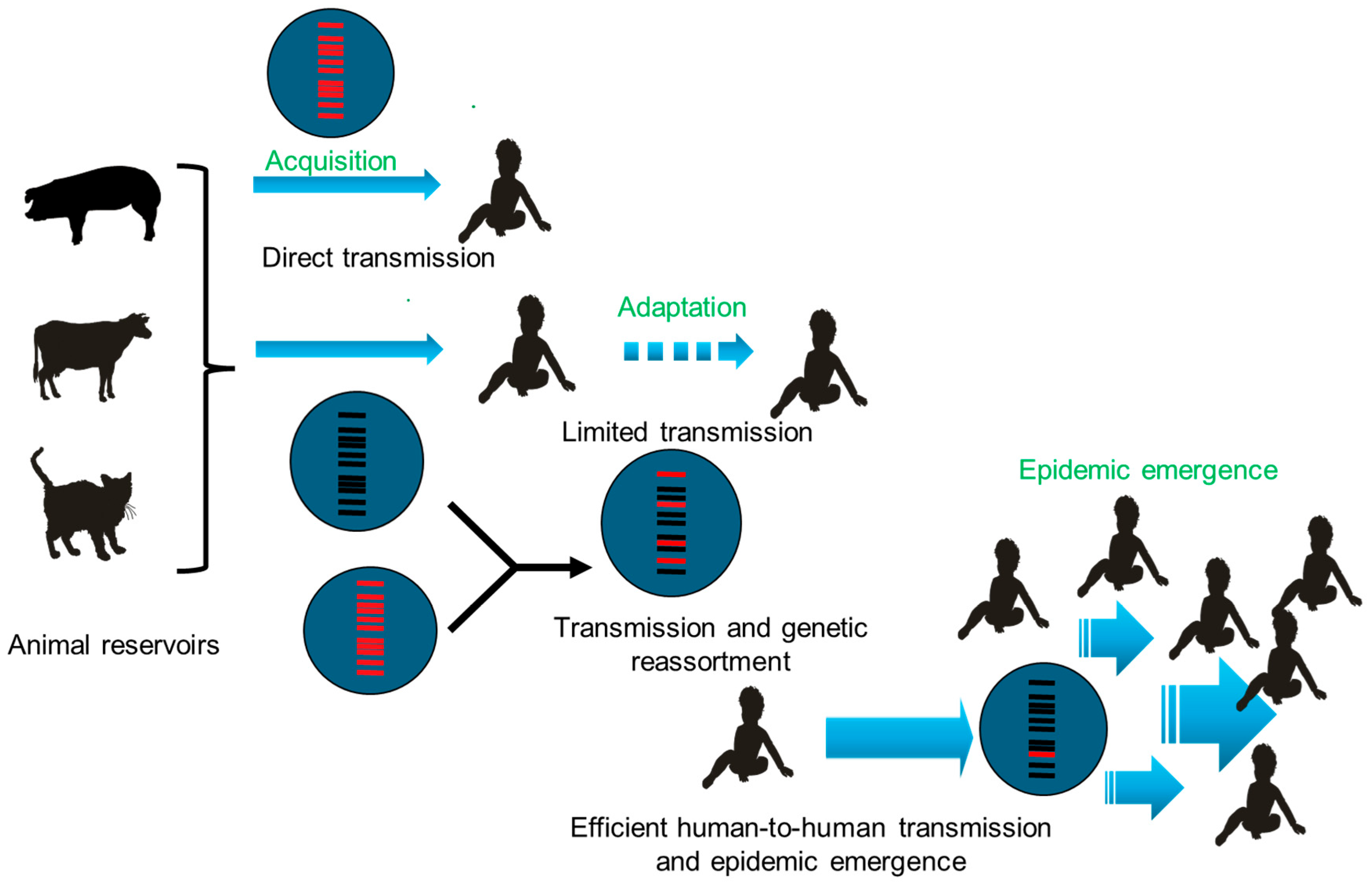 Pathogens 14 01230 g009 Pathogens 14 01230 g009