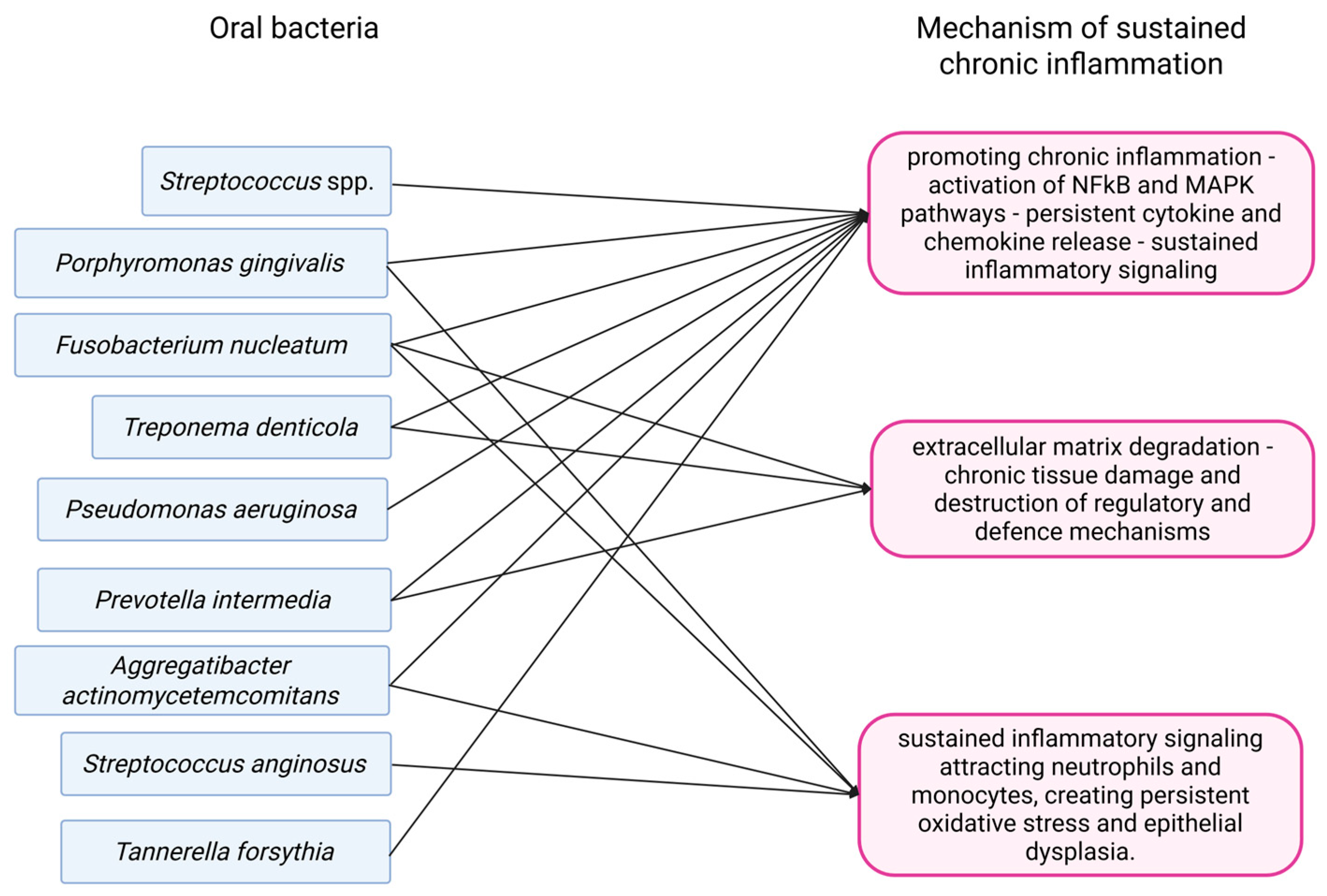Pathogens 14 01233 g001 Pathogens 14 01233 g001