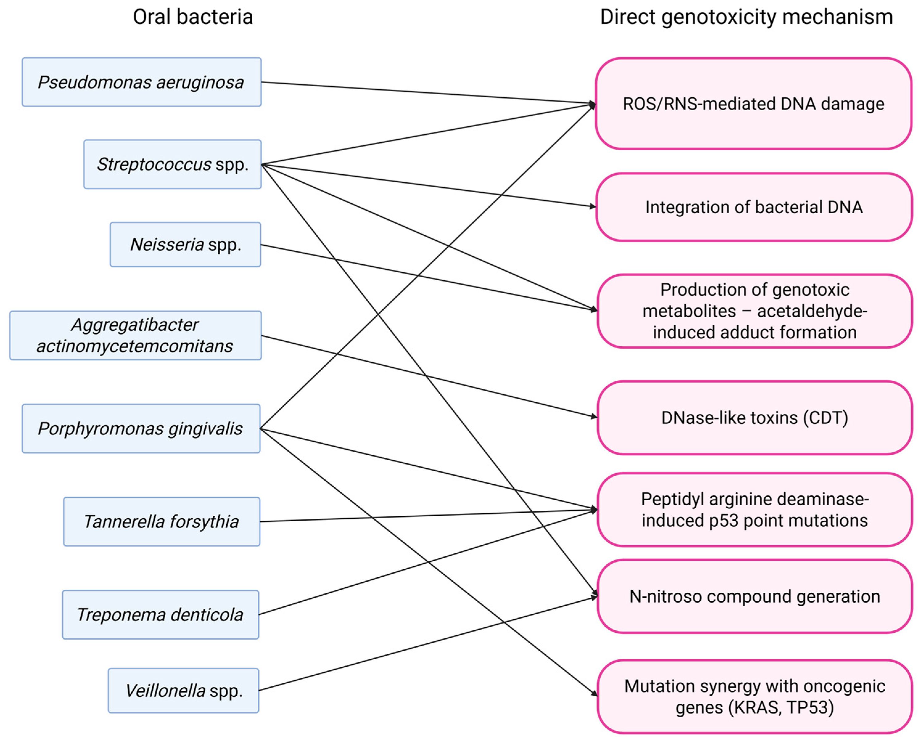 Pathogens 14 01233 g002 Pathogens 14 01233 g002