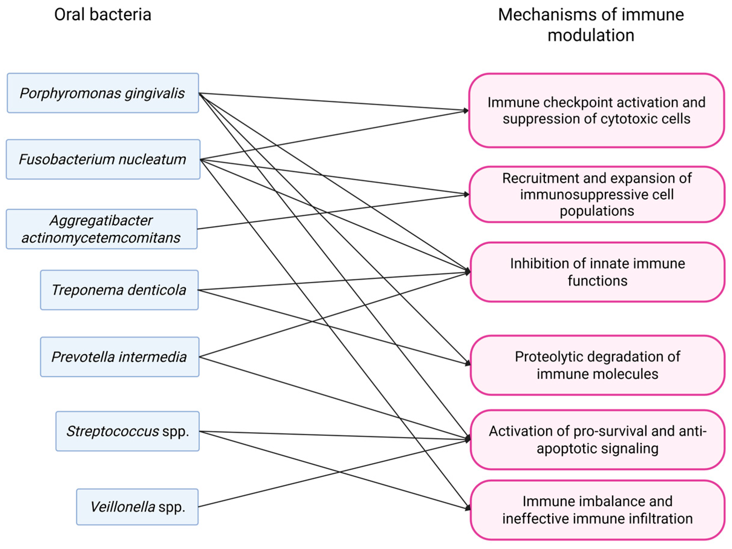 Pathogens 14 01233 g003 Pathogens 14 01233 g003