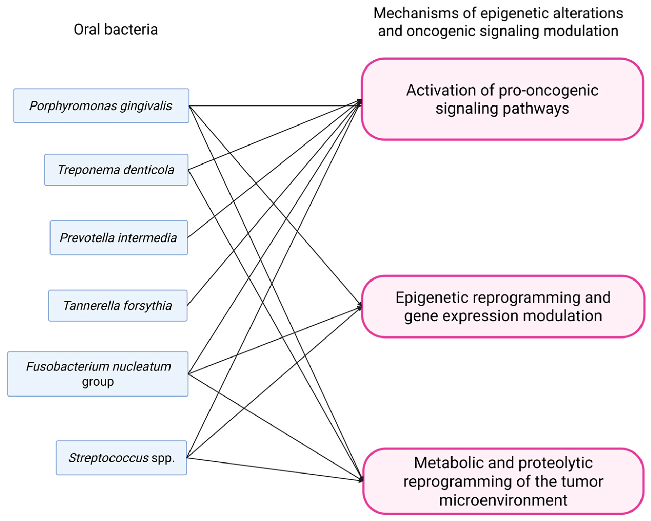 Pathogens 14 01233 g004 Pathogens 14 01233 g004