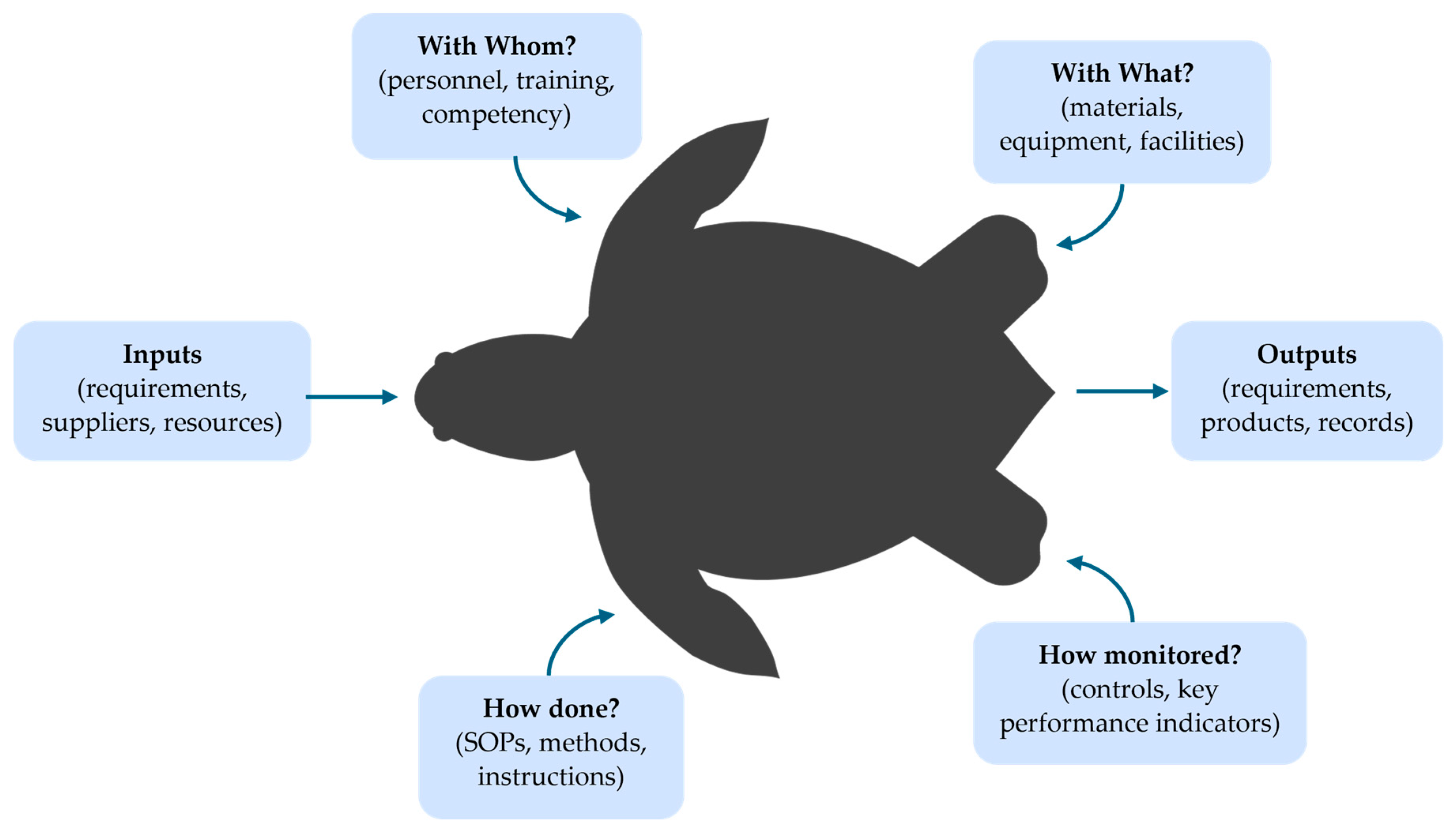 Pathogens 14 01250 g001