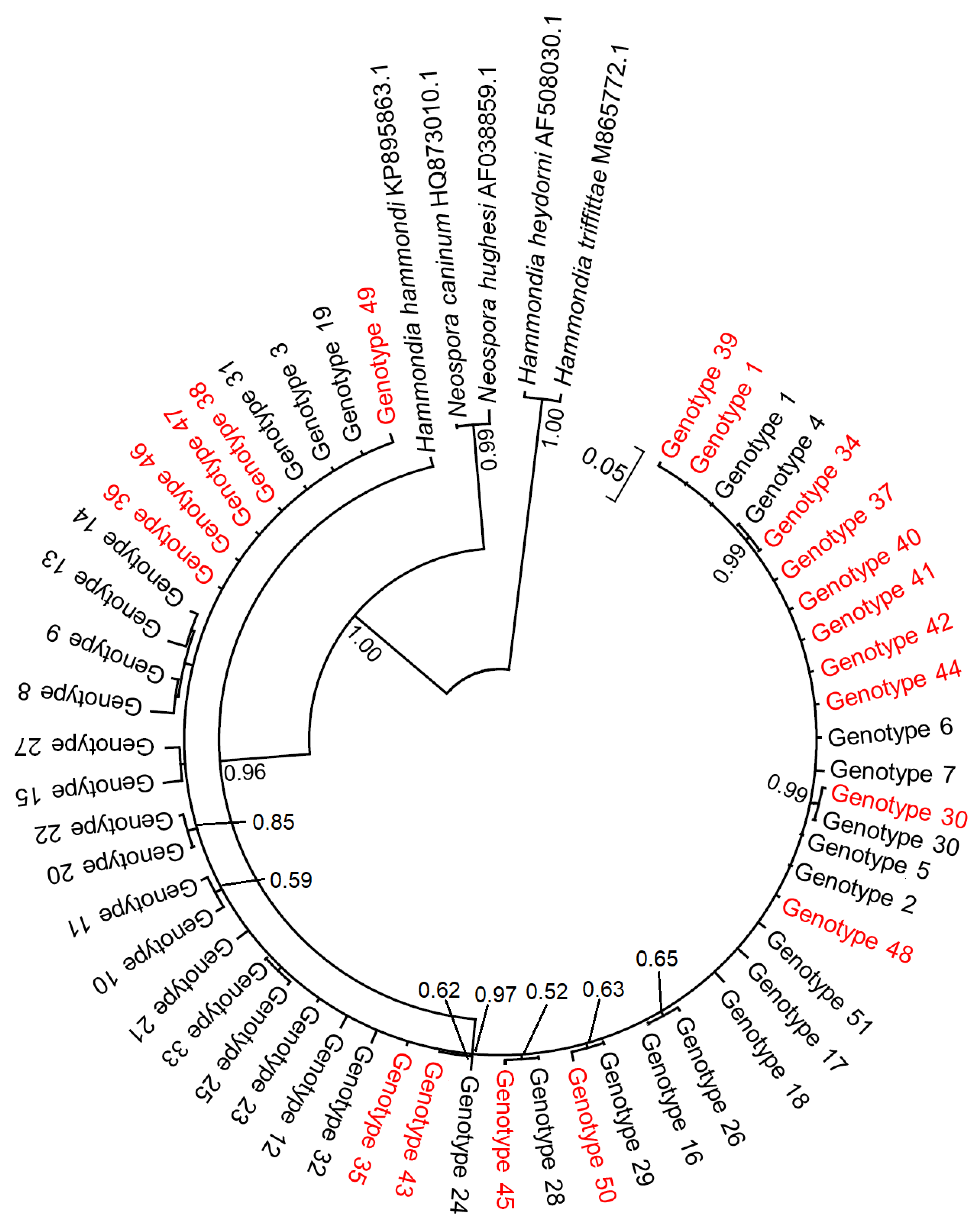 Pathogens 14 01252 g002 Pathogens 14 01252 g002