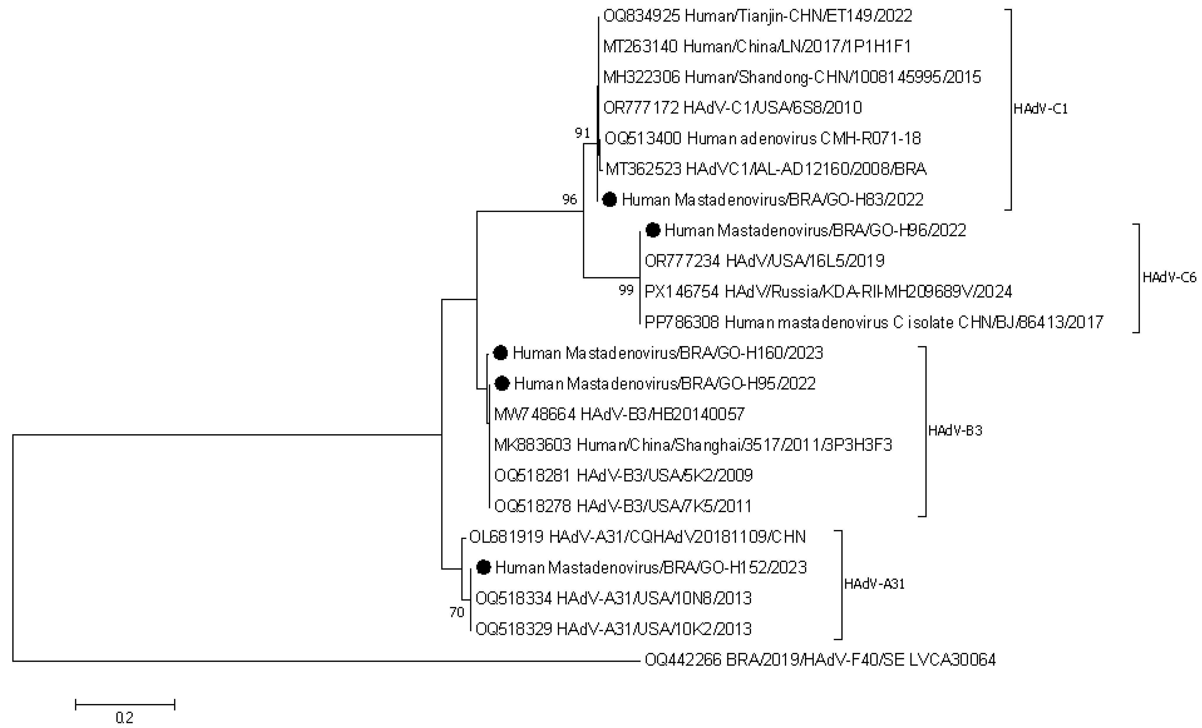 Pathogens 14 01258 g003 Pathogens 14 01258 g003