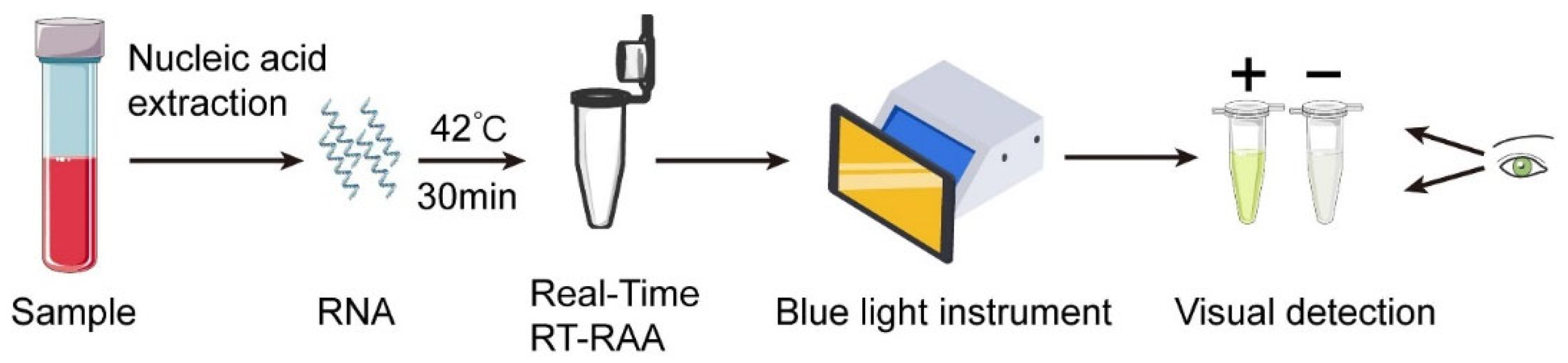 Pathogens 14 01266 g001