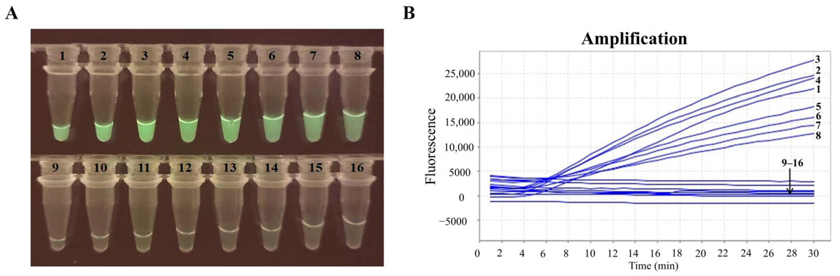 Pathogens 14 01266 g003