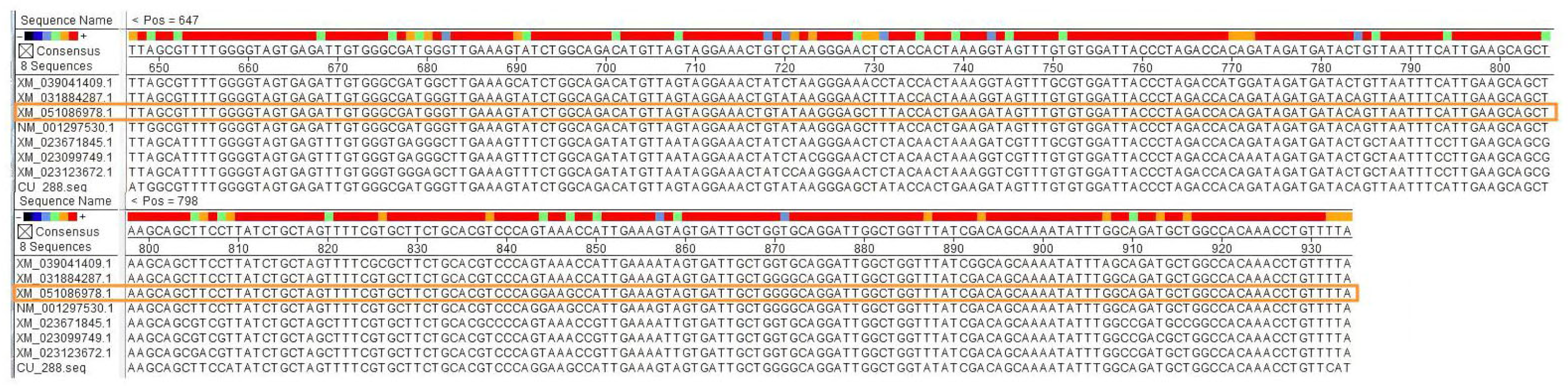 Pathogens 14 01269 g001