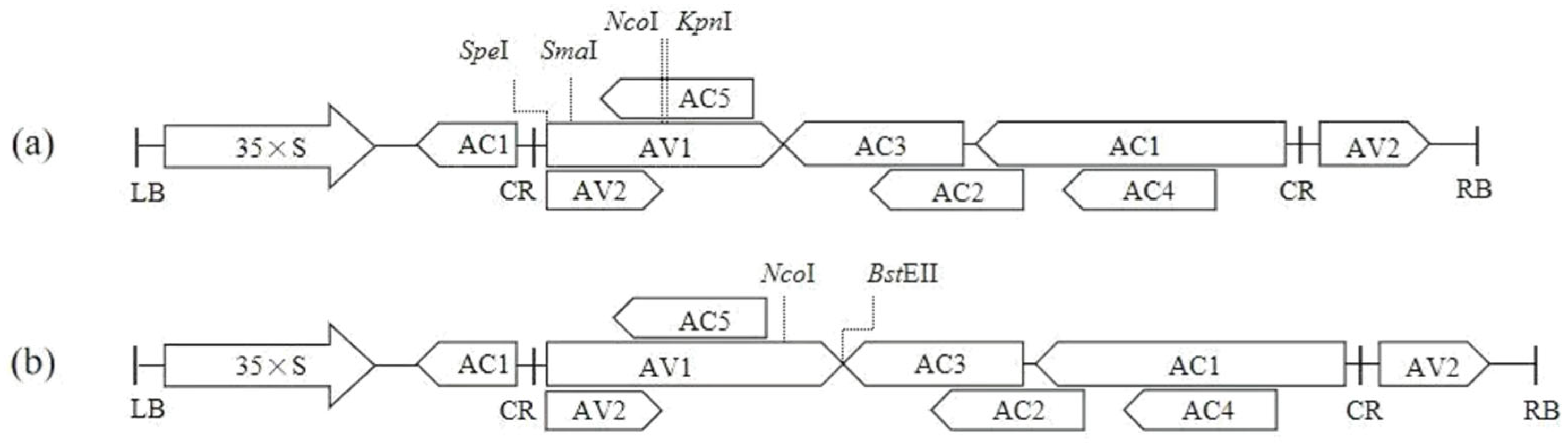 Pathogens 14 01269 g002
