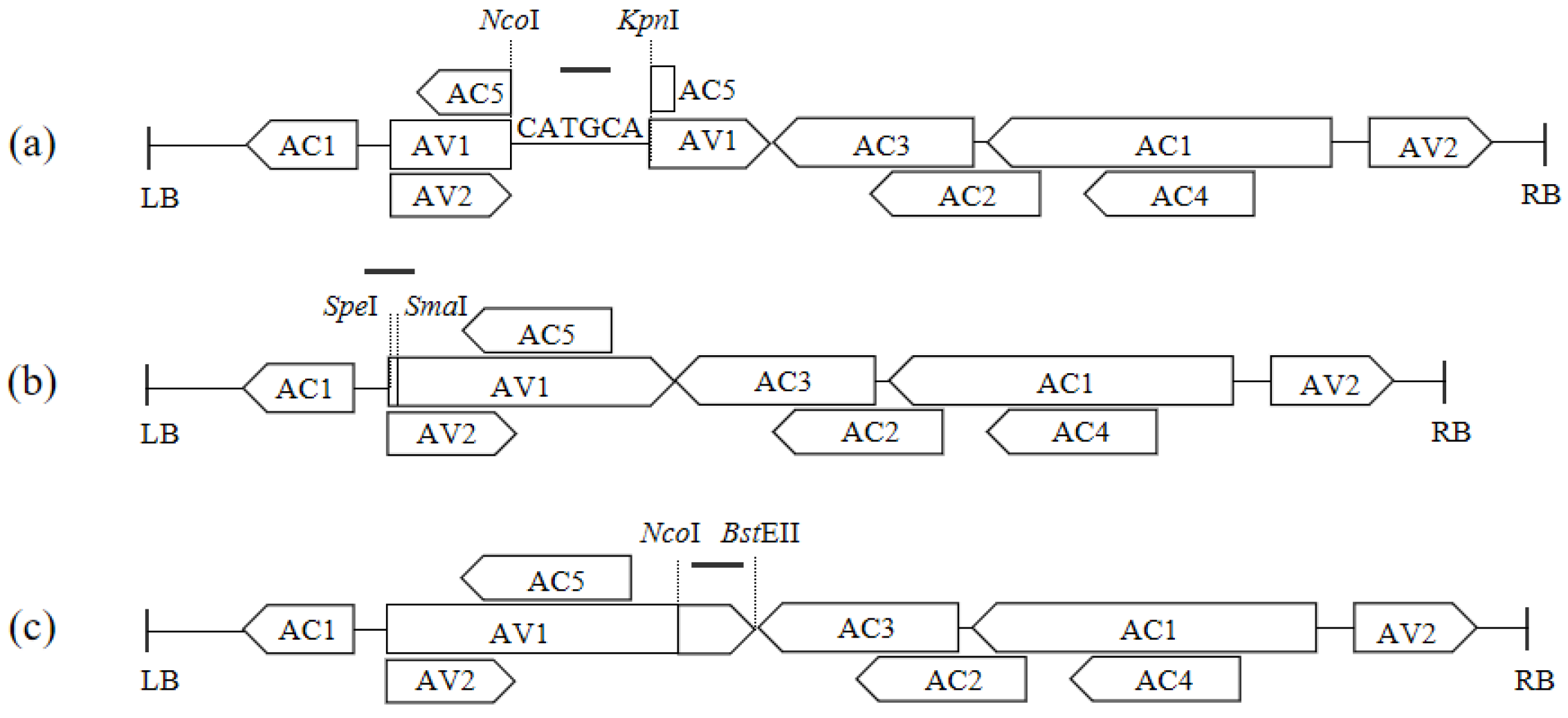 Pathogens 14 01269 g003