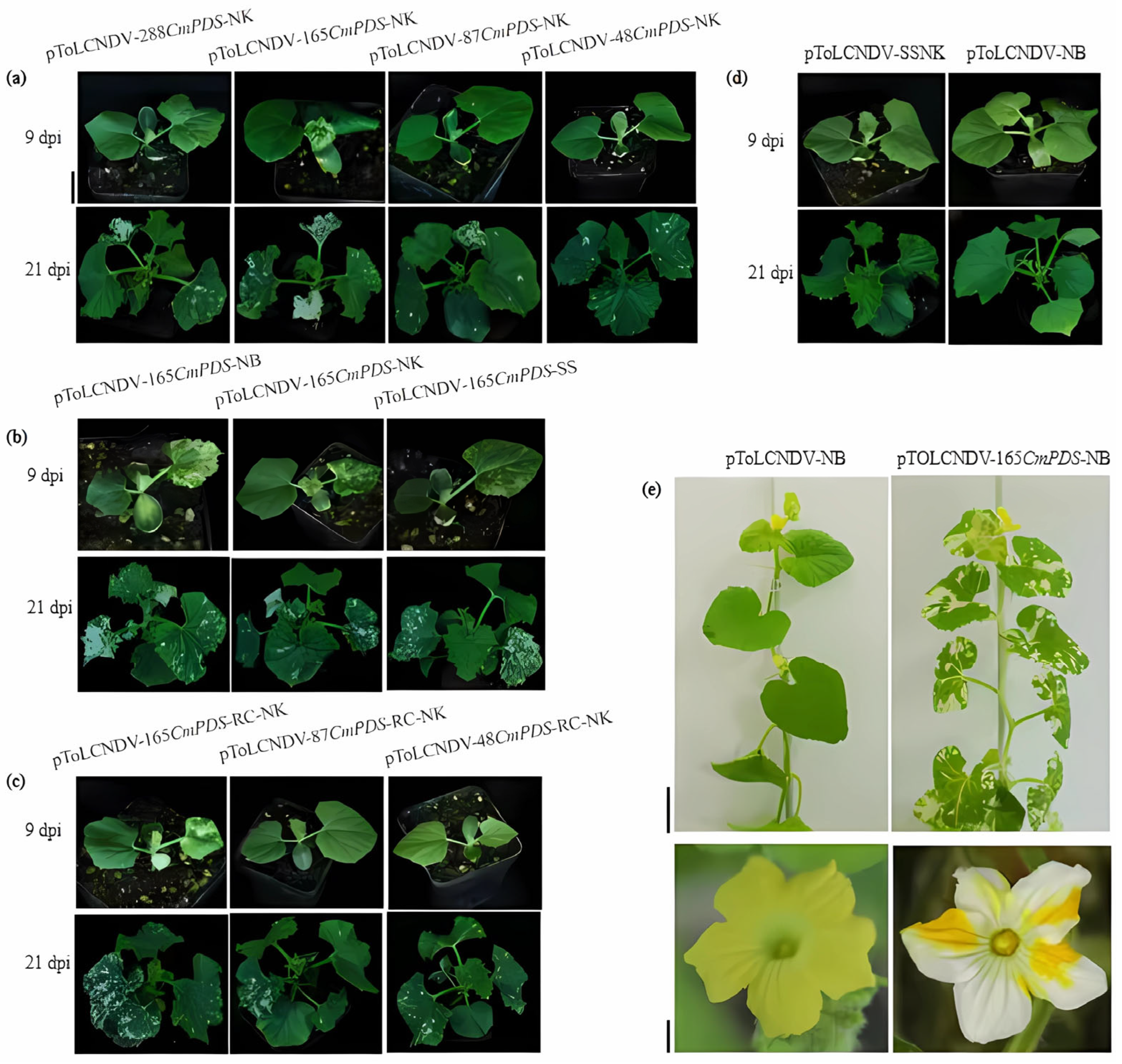 Pathogens 14 01269 g004