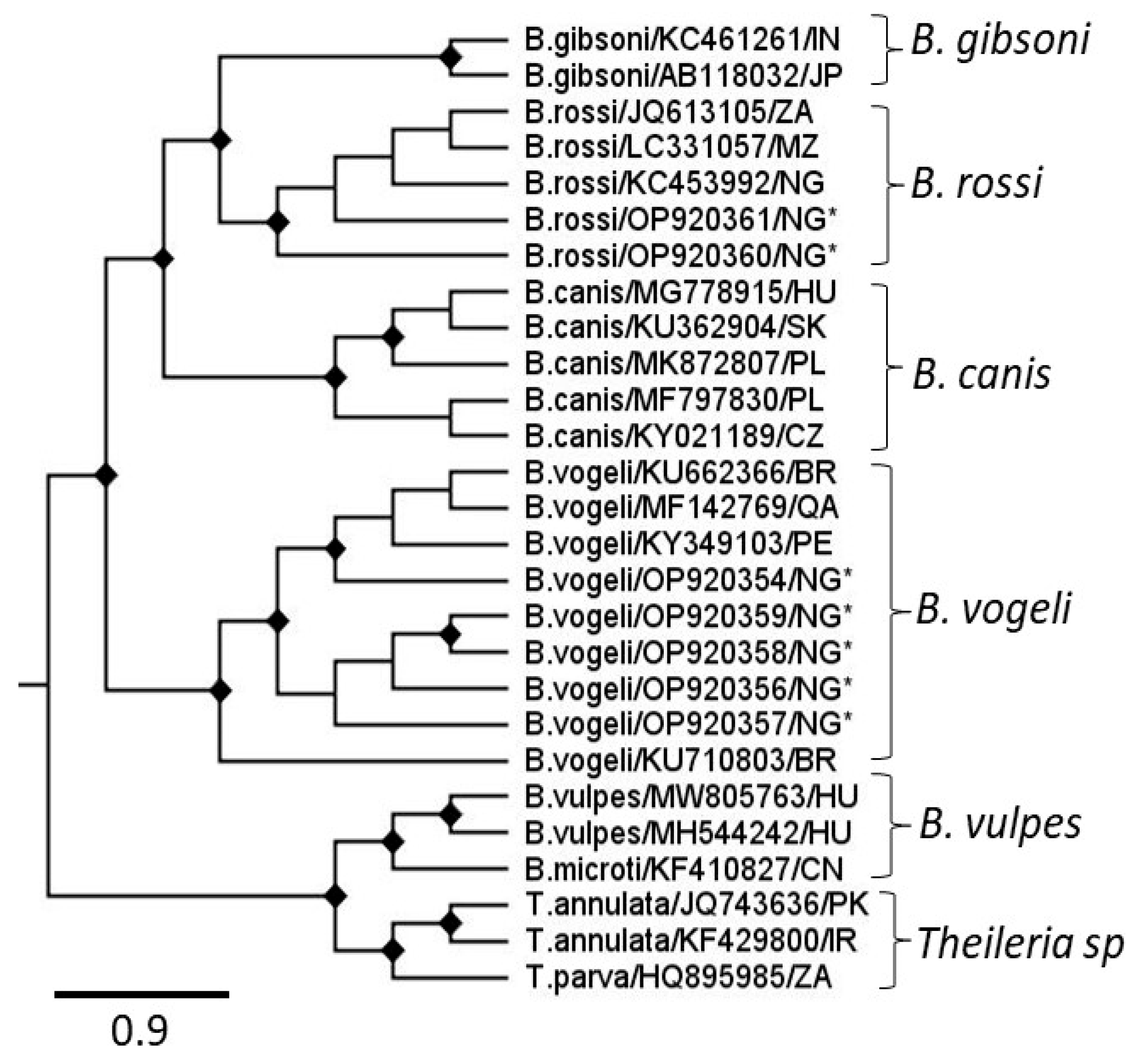 Pathogens 14 01271 g002