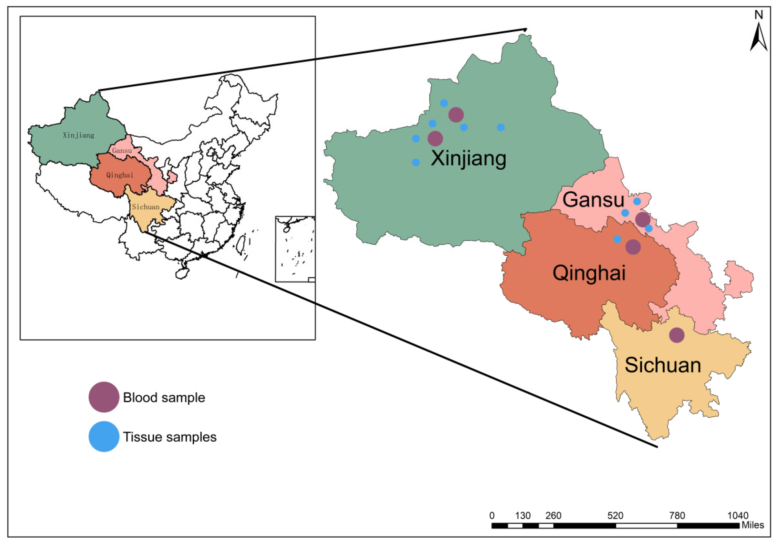 Pathogens 14 01275 g002