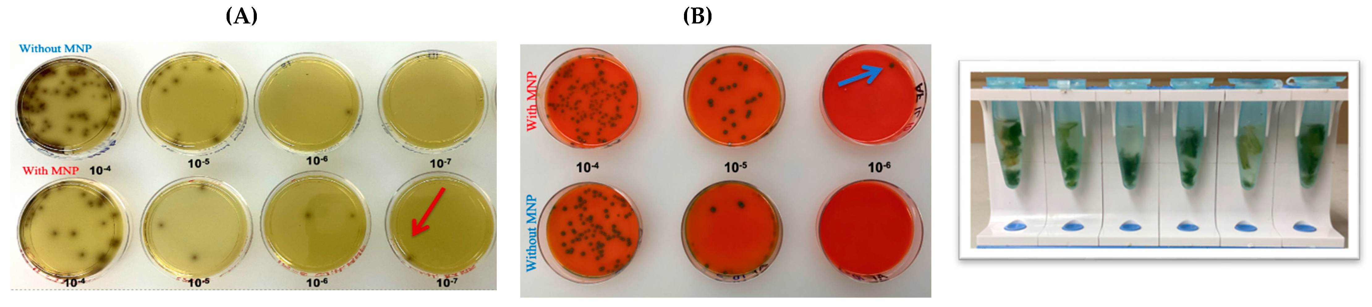 Pathogens 14 01280 g003