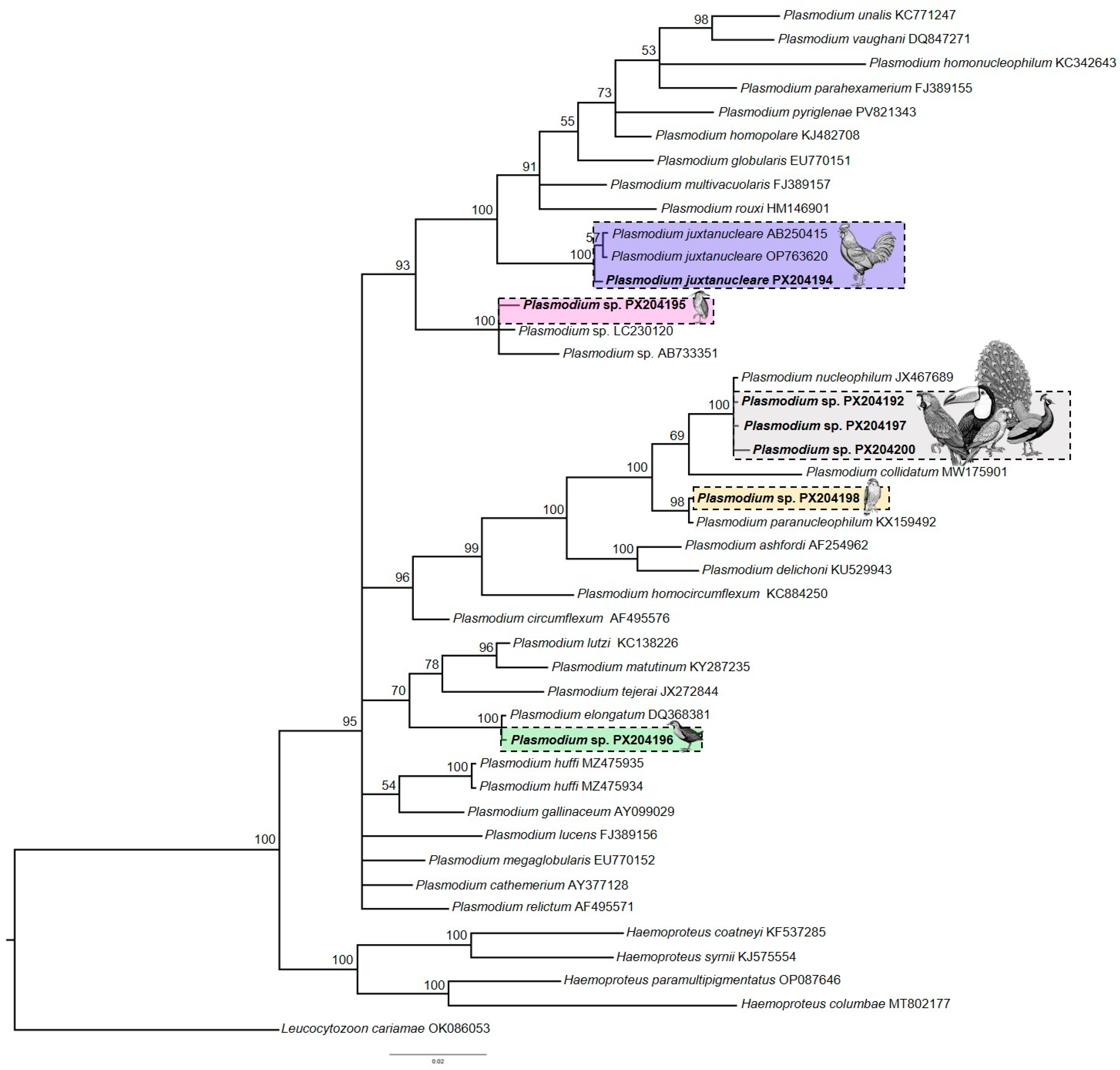 Pathogens 14 01286 g002 Pathogens 14 01286 g002