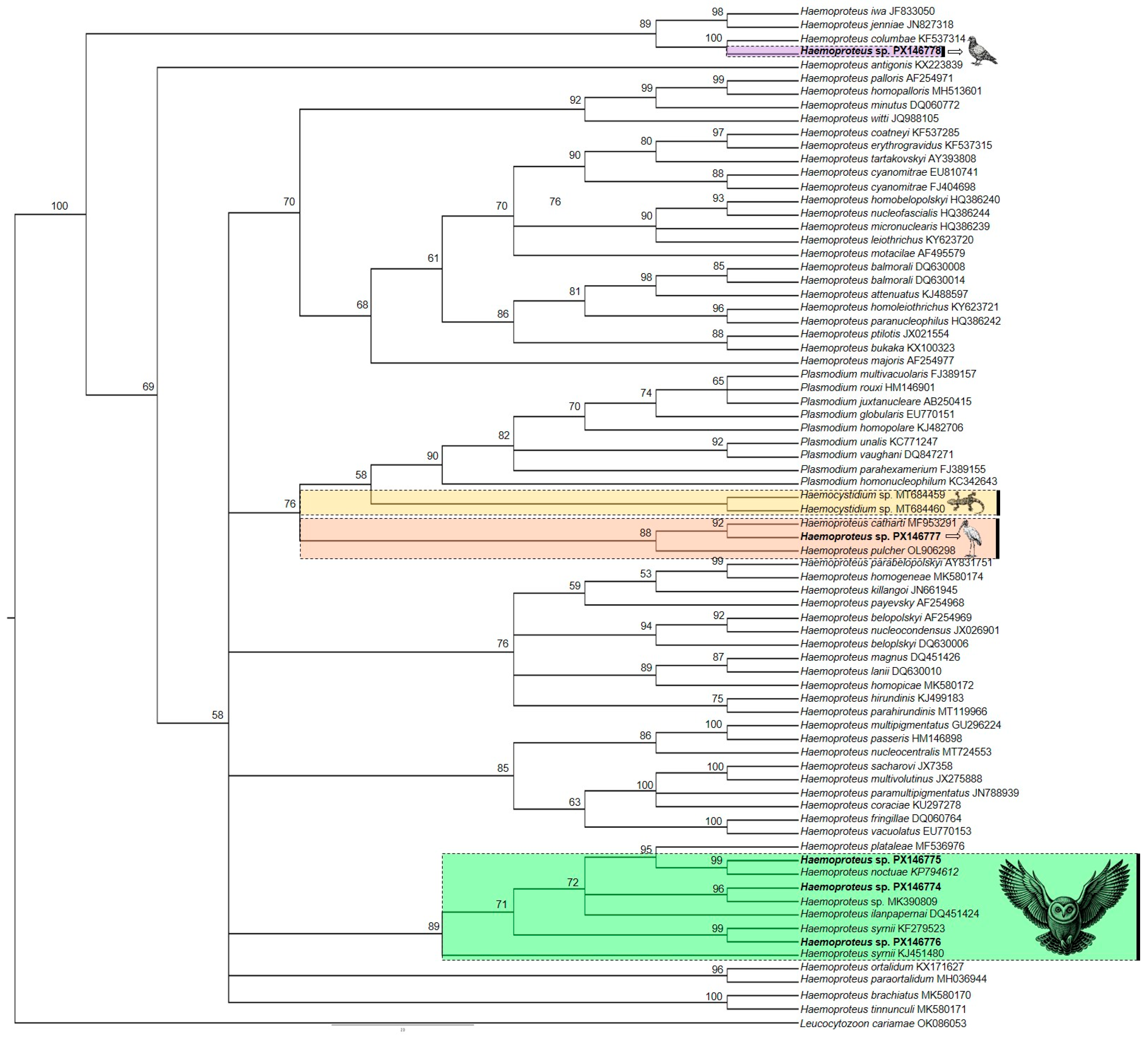 Pathogens 14 01286 g003 Pathogens 14 01286 g003