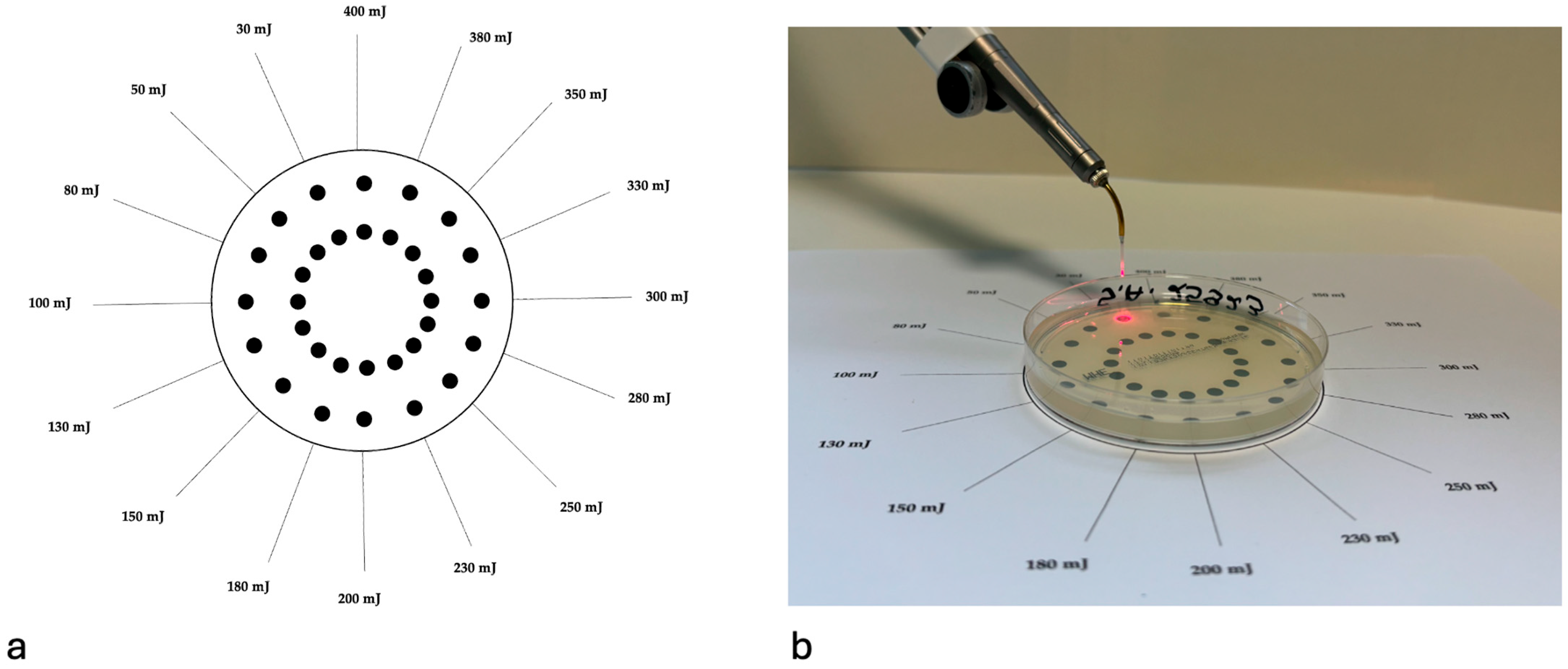 Pathogens 14 01287 g001 Pathogens 14 01287 g001