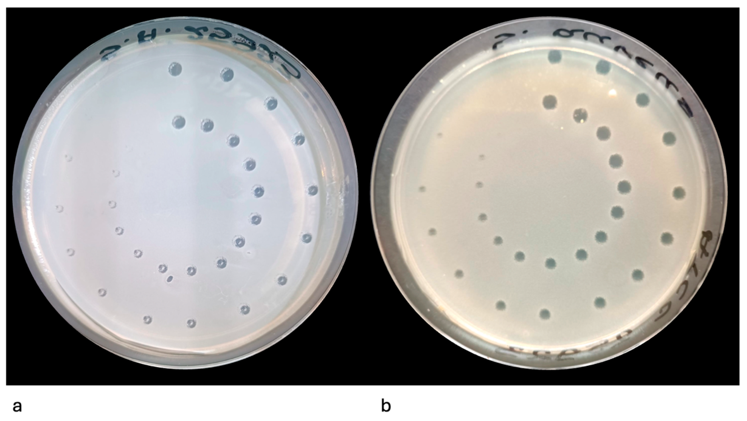 Pathogens 14 01287 g005 Pathogens 14 01287 g005