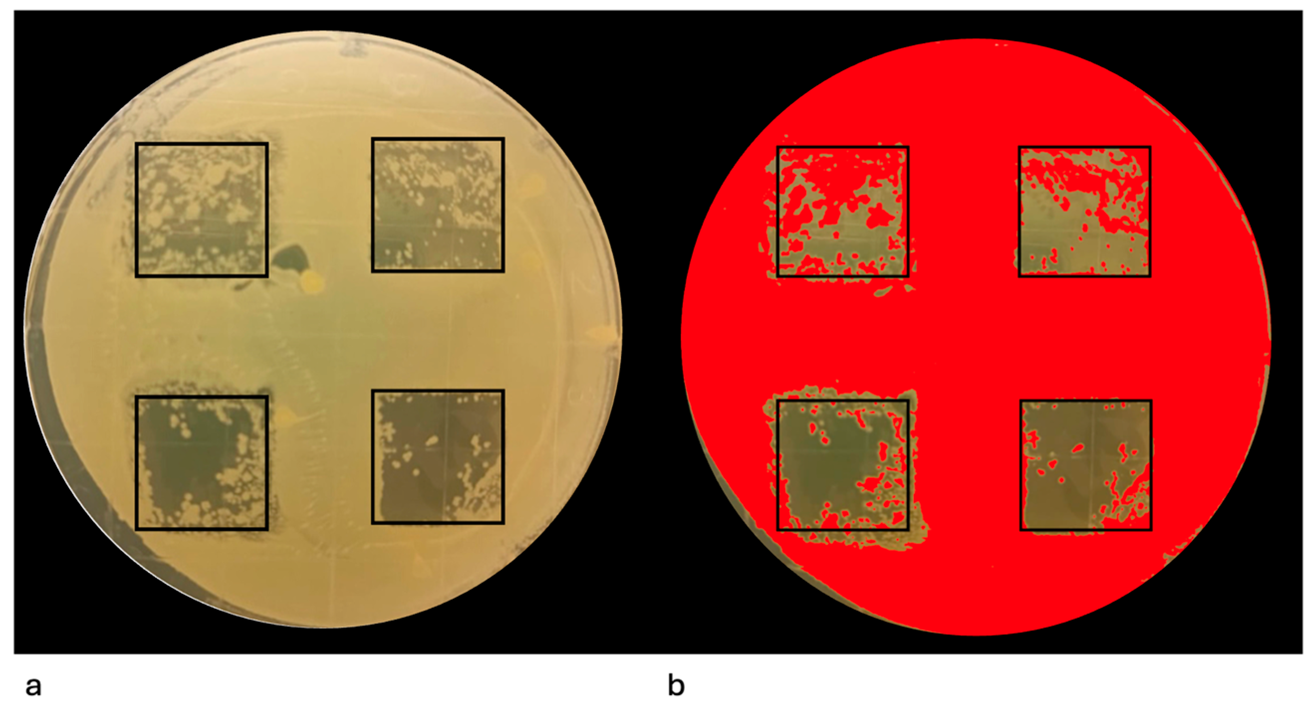 Pathogens 14 01287 g006 Pathogens 14 01287 g006