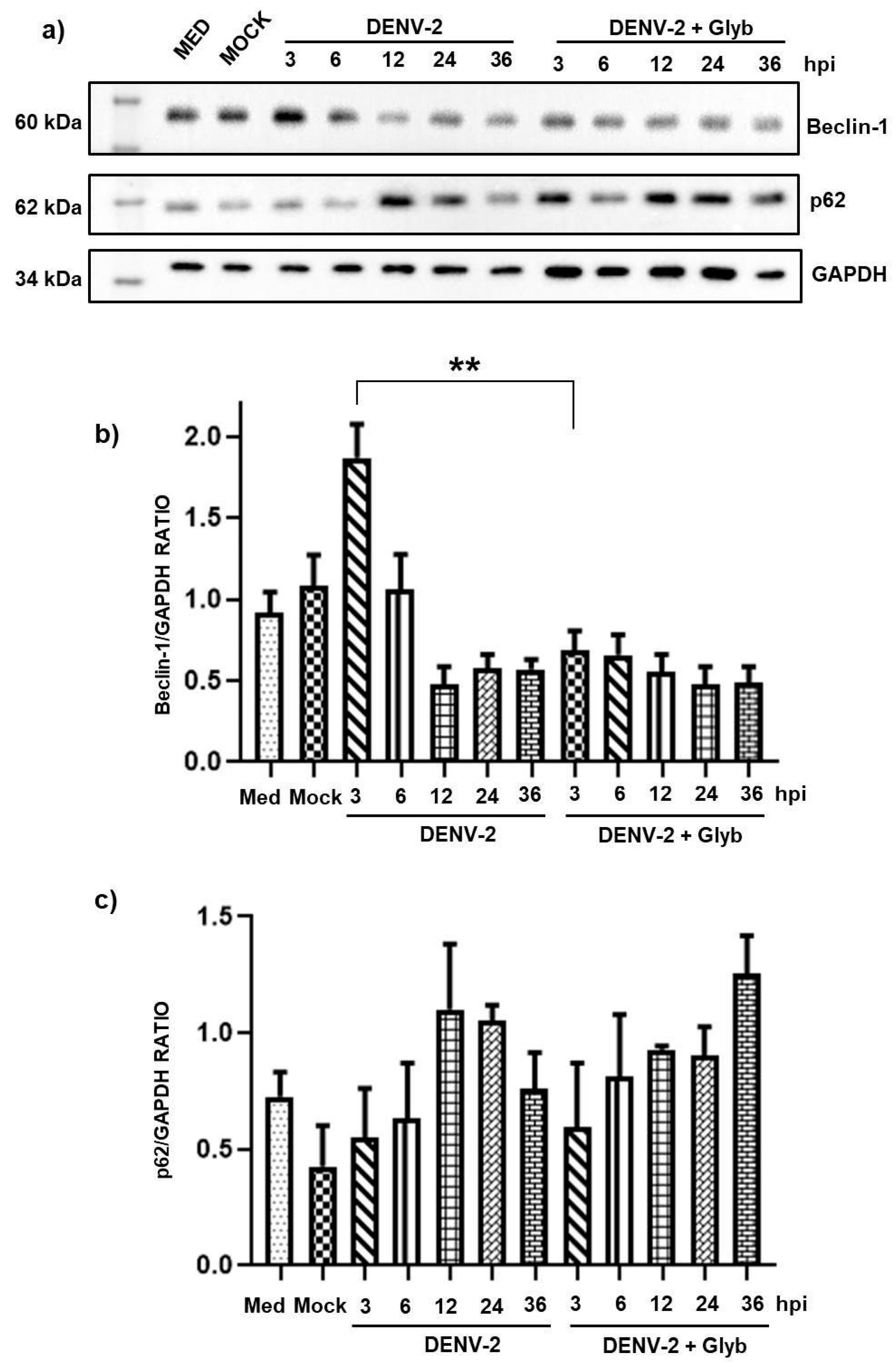Pathogens 14 01292 g003 Pathogens 14 01292 g003