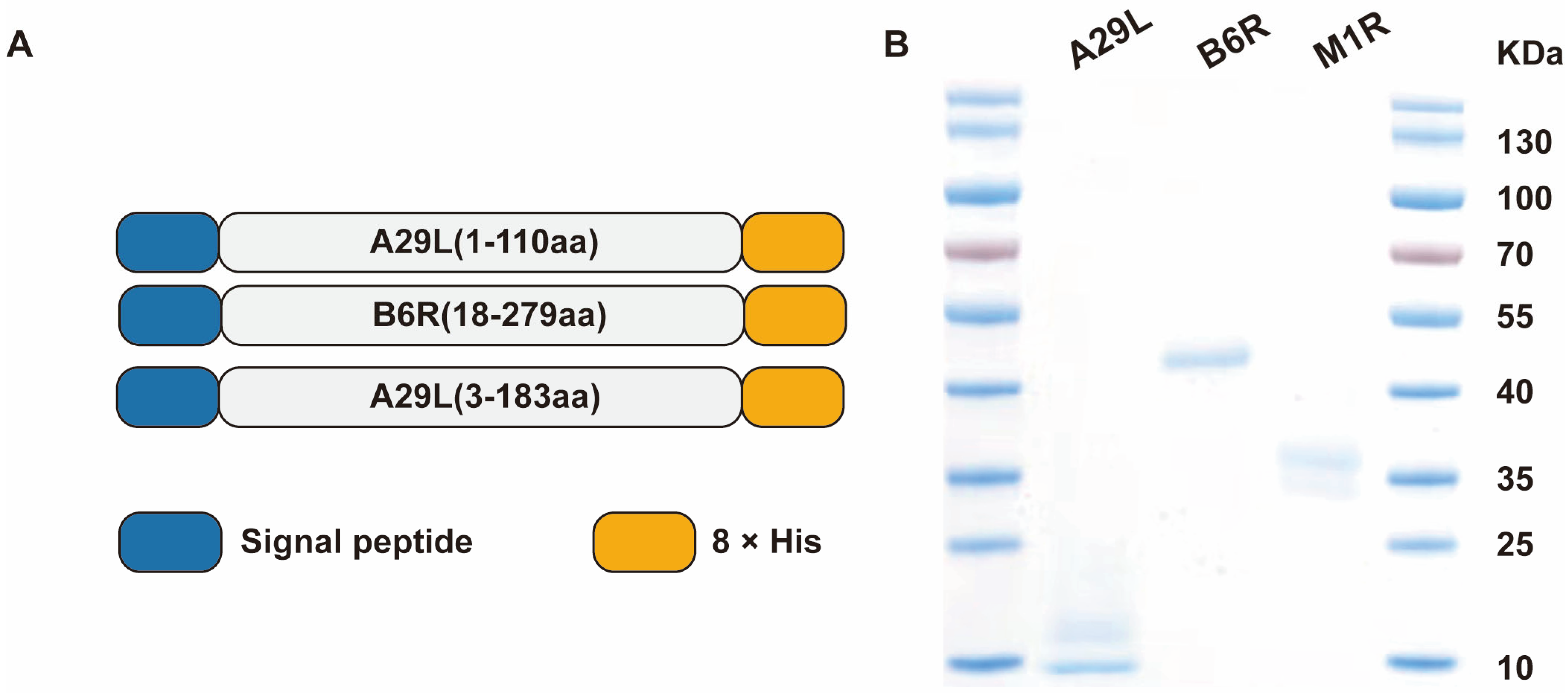 Pathogens 14 01293 g001 Pathogens 14 01293 g001