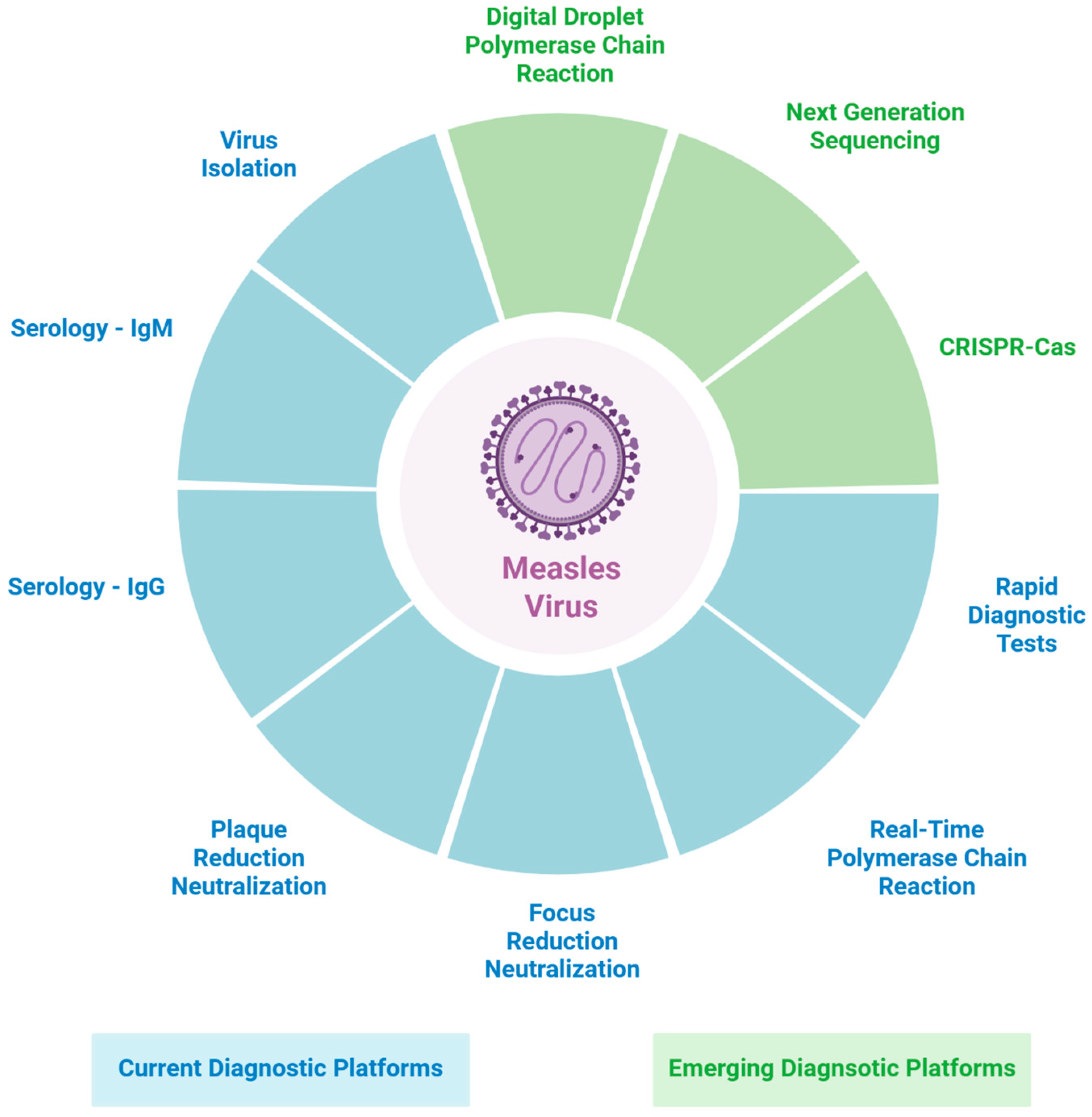 Pathogens 14 01295 g001