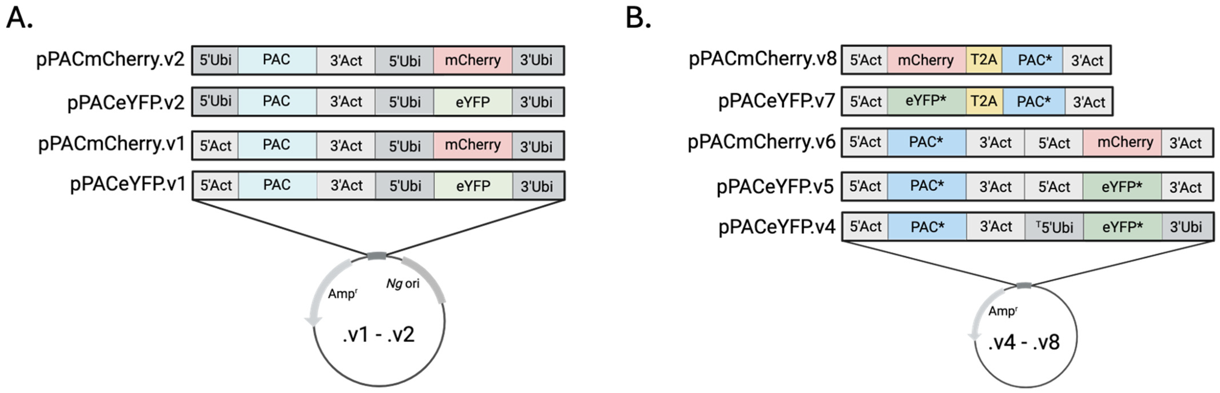 Pathogens 15 00012 g001