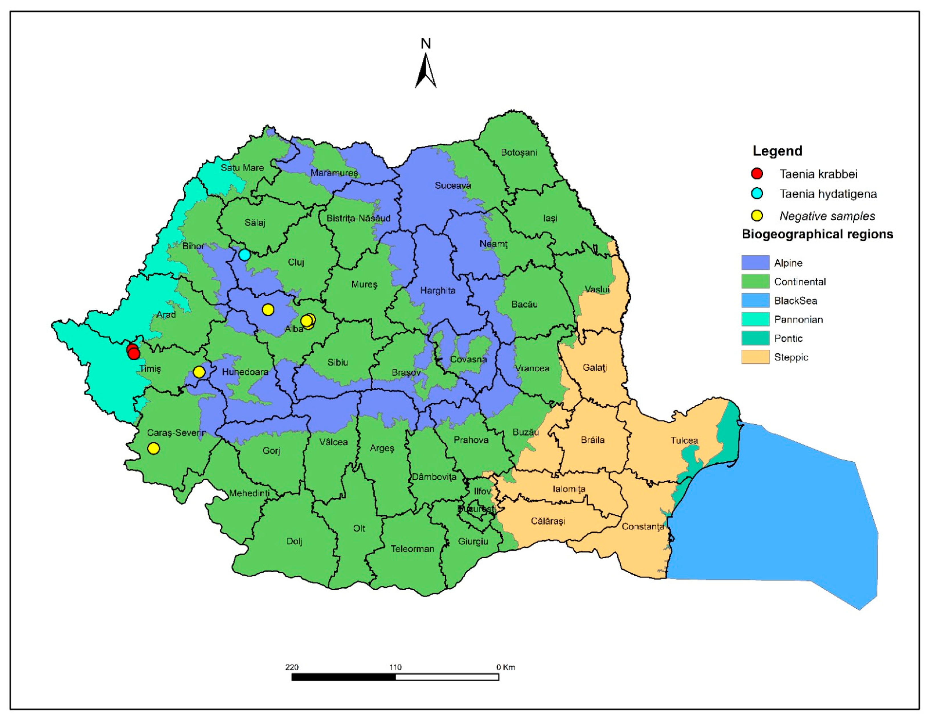 Pathogens 15 00018 g001